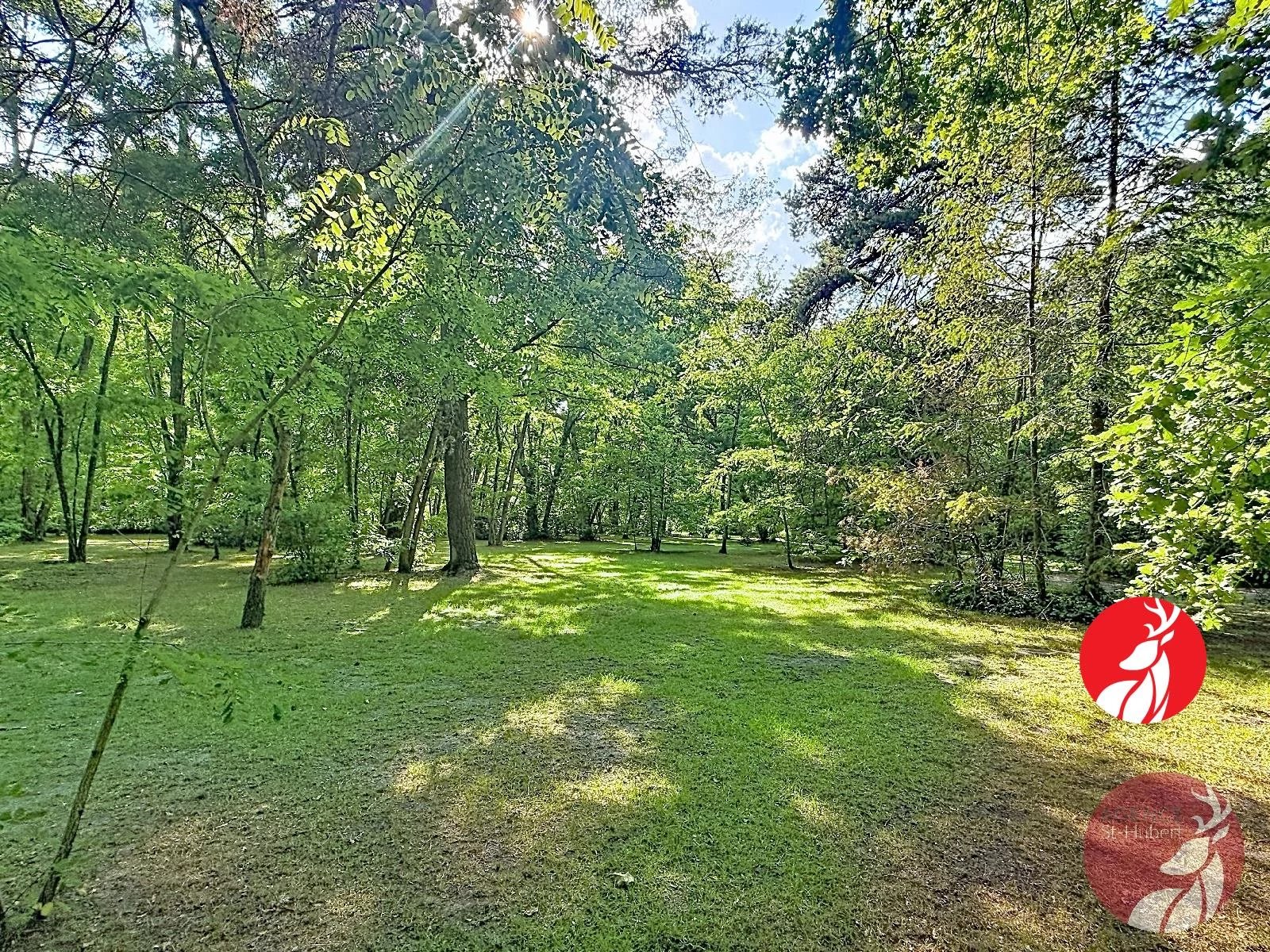 TERRAIN