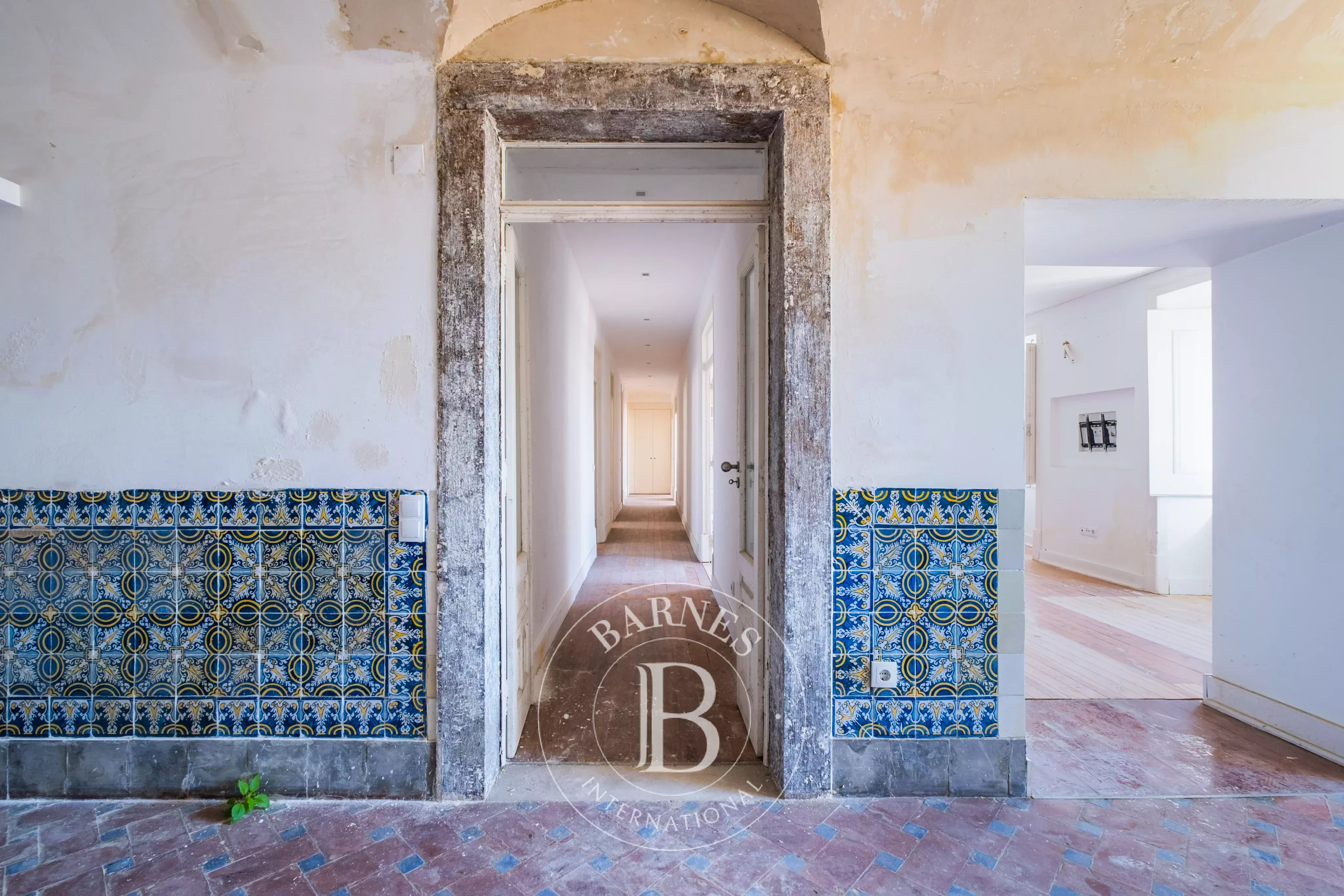 Terrace, garden and view Terrace, garden and view