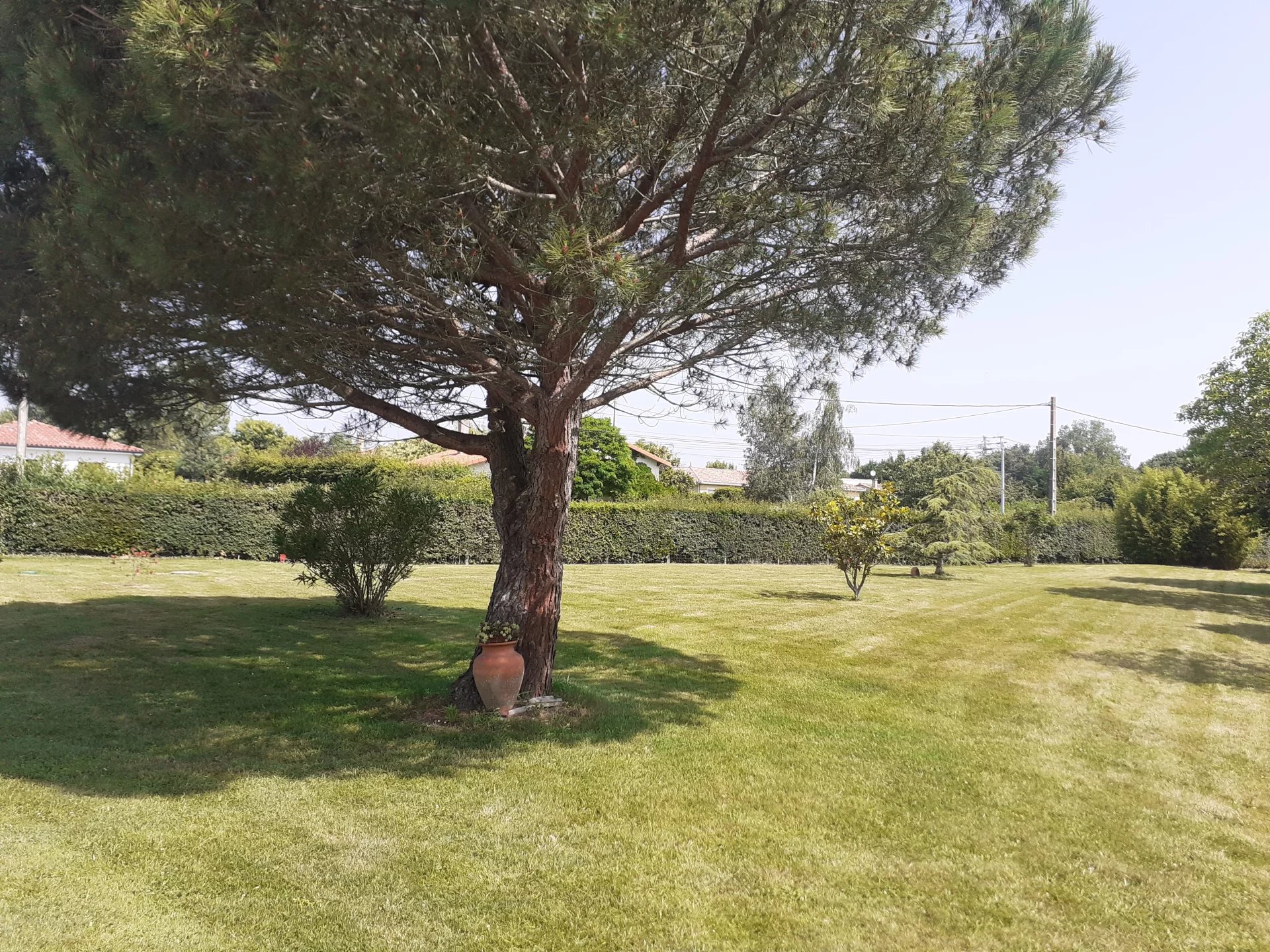 Image de la propriété