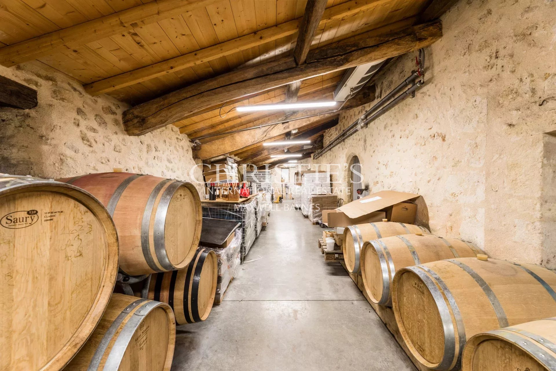 Vineyard's Image 14