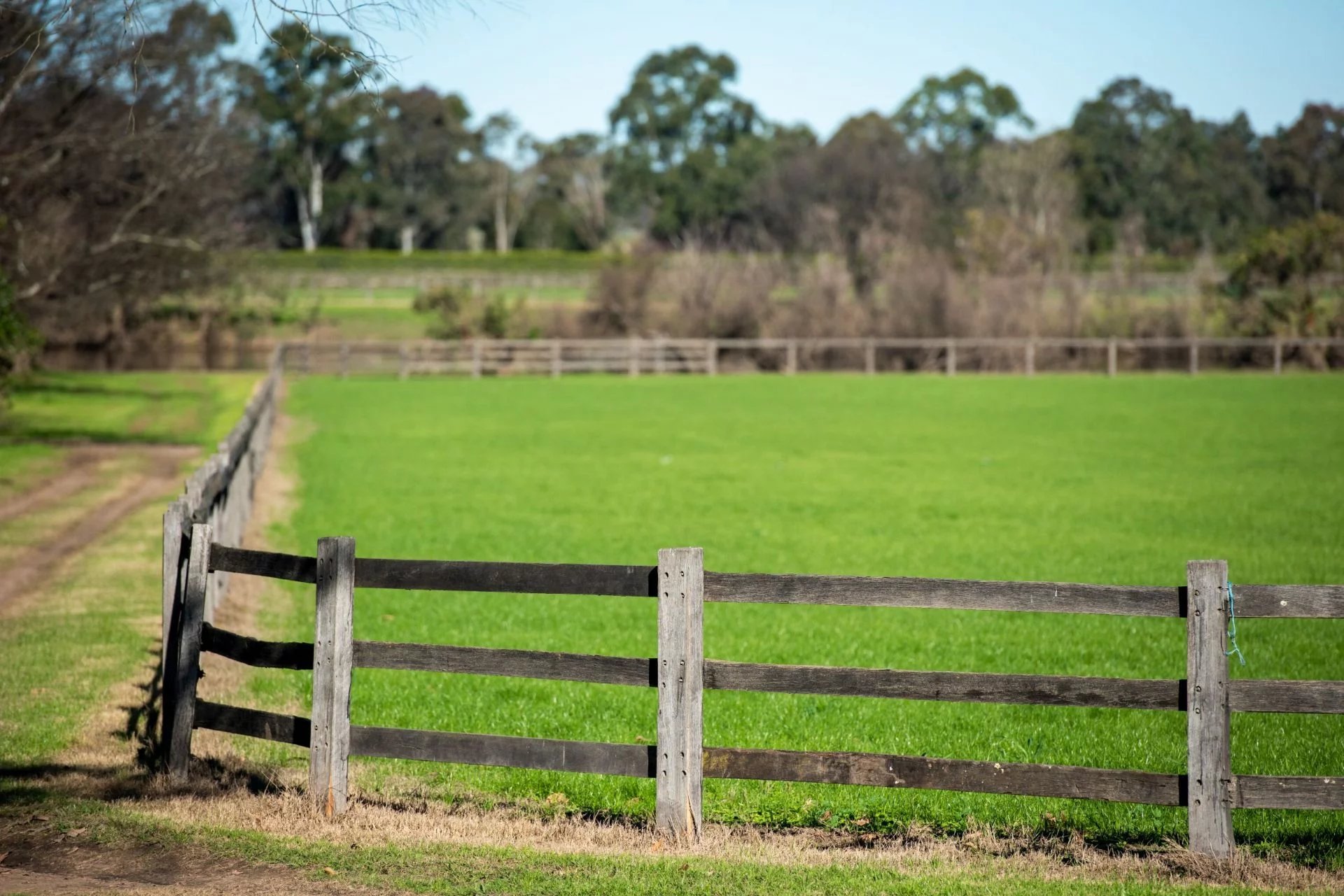 sydney-s premier polo club in an idyllic setting by the hawkesbury river image14