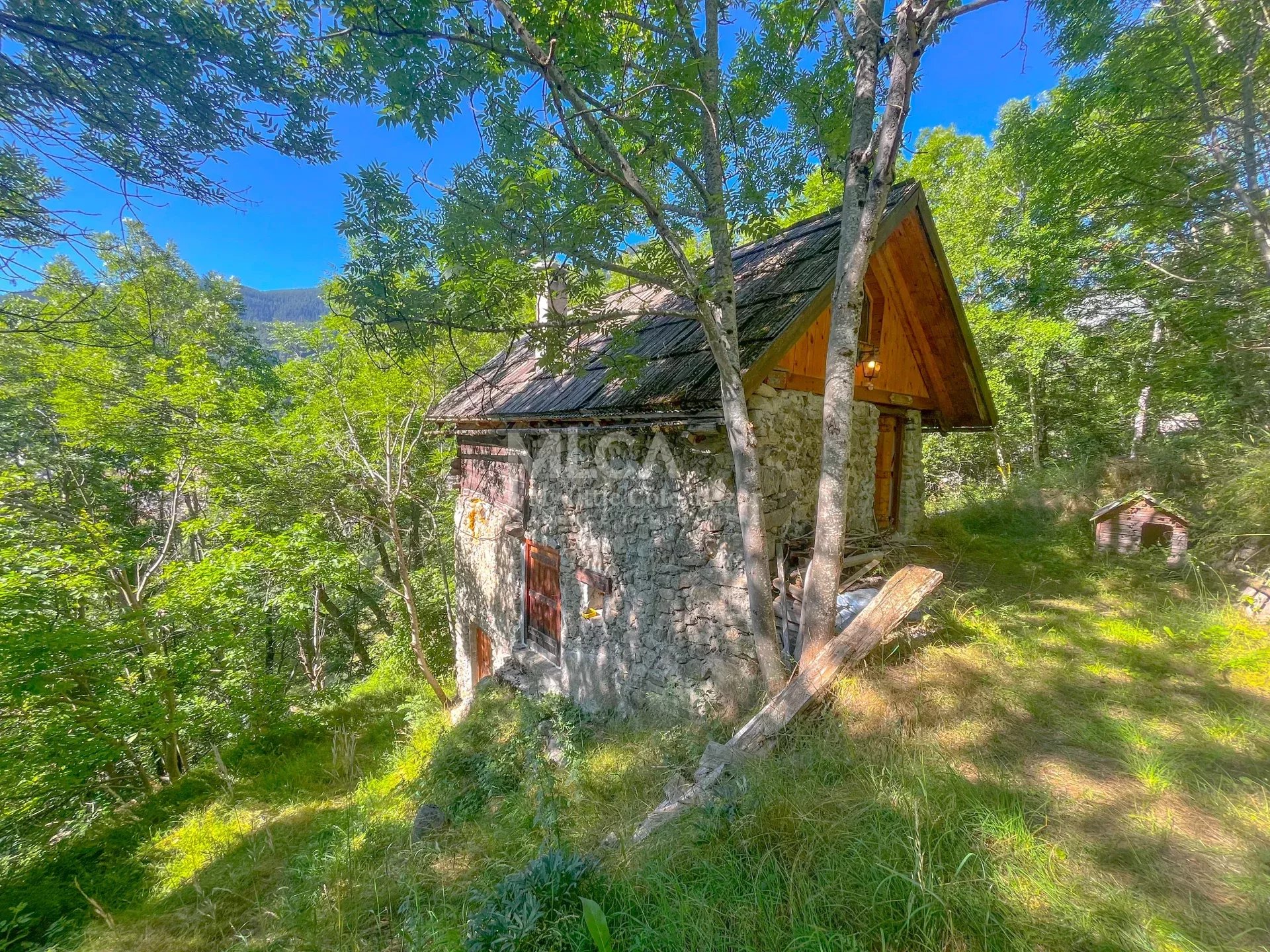 Agence immobilière de My Little Côte d'Azur