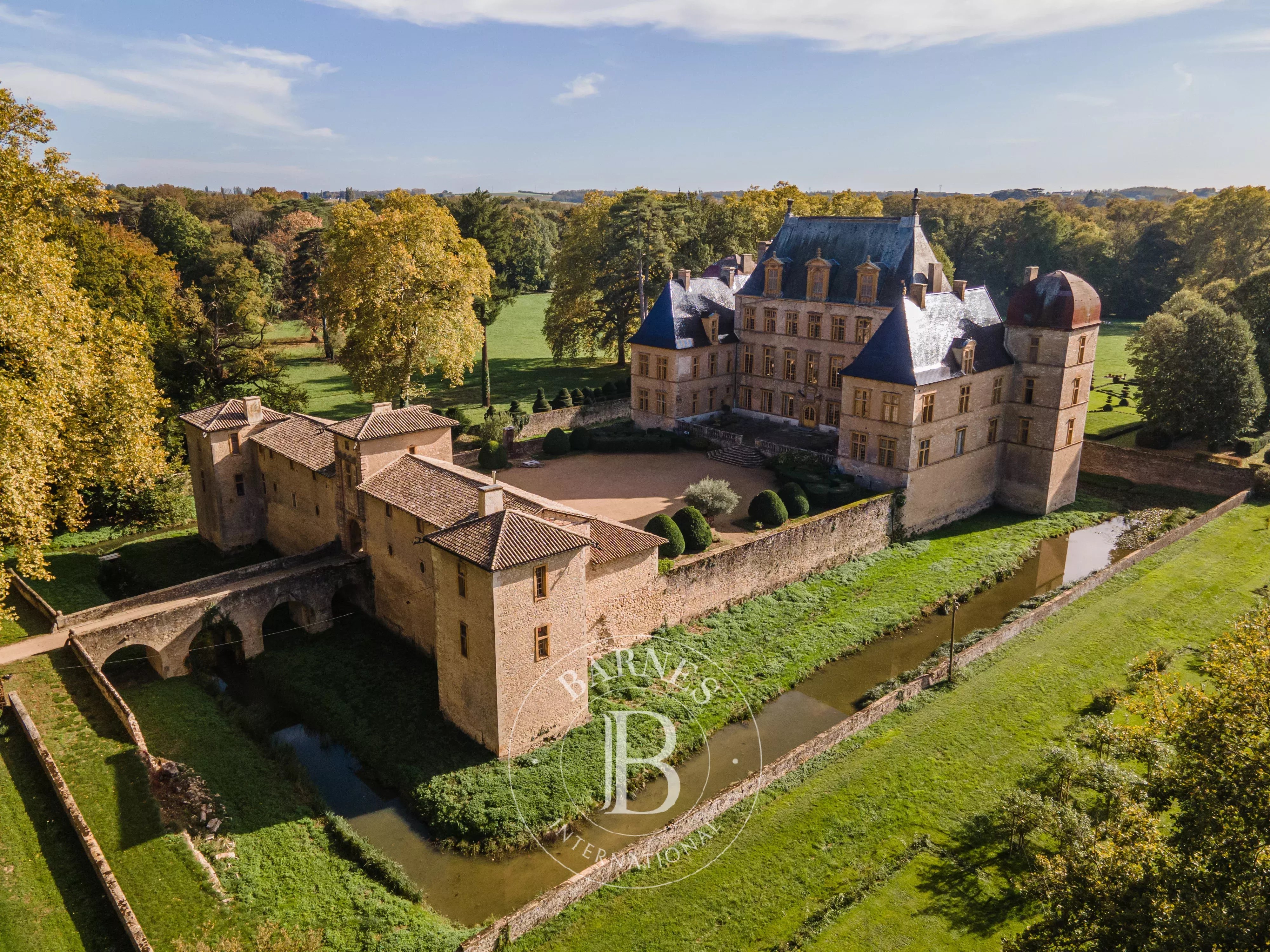 Fareins  - Château 30 Pi&egrave;ces 8 Chambres - picture 1