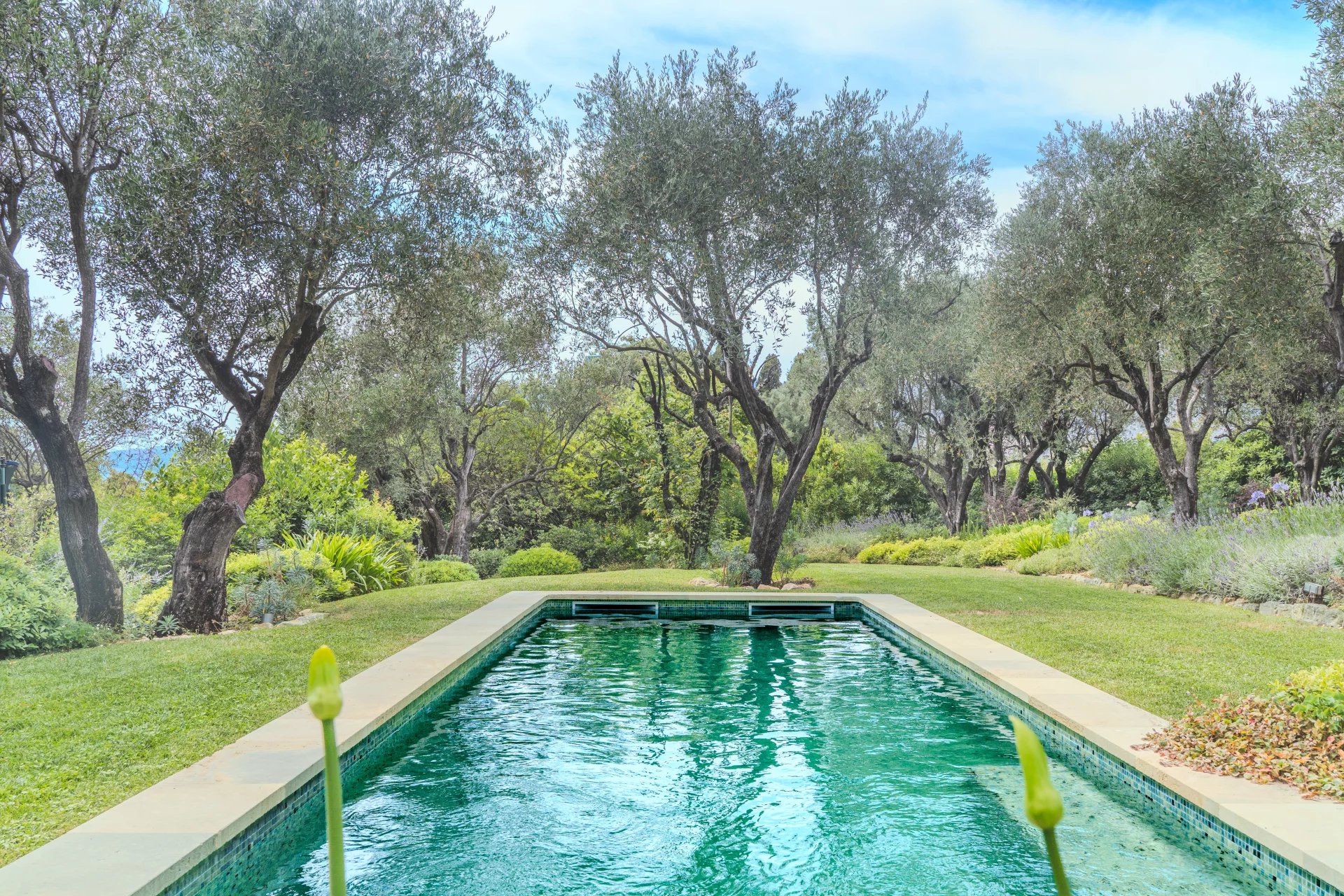 Sale House Opio