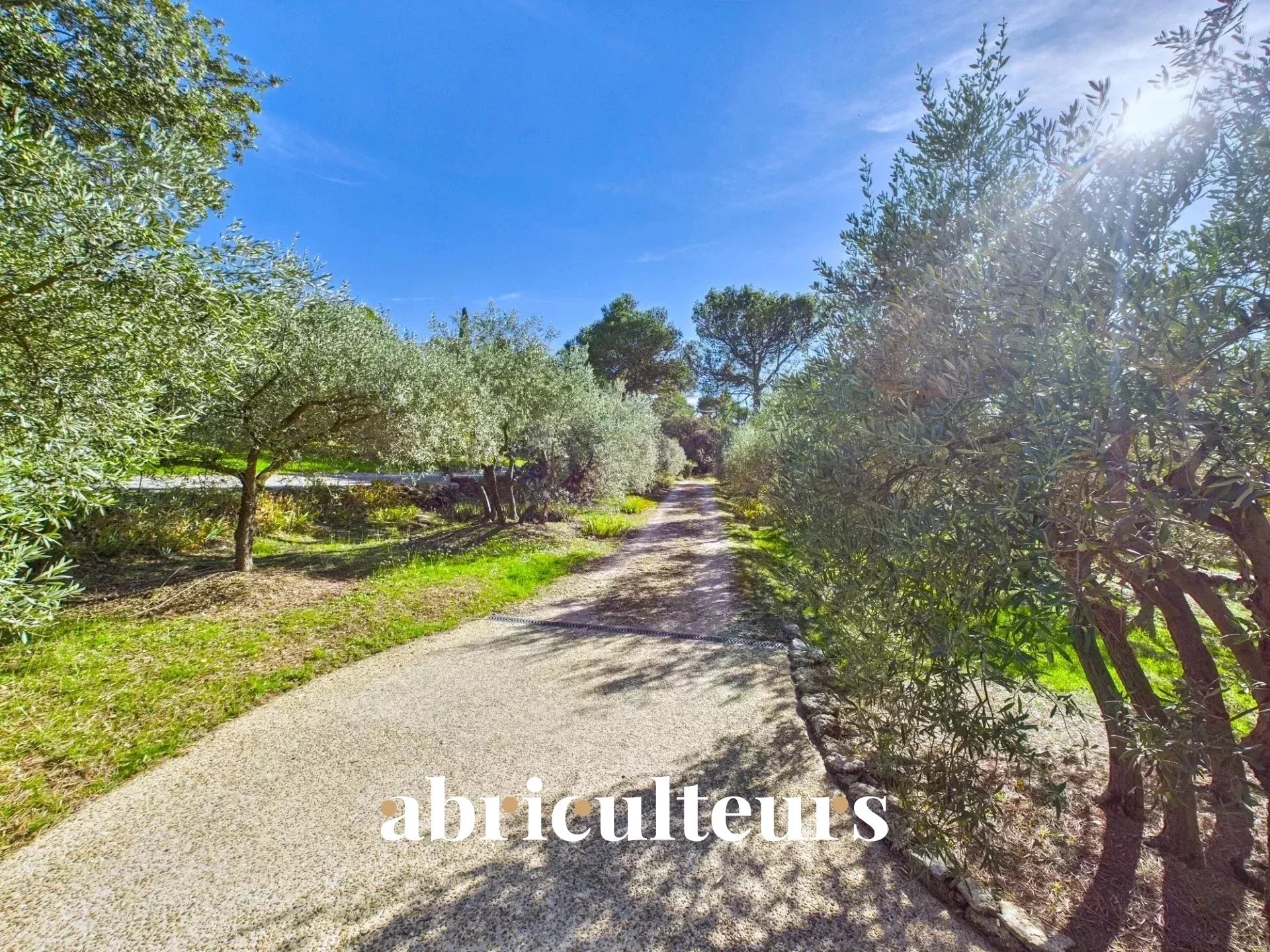 Agence immobilière de LES ABRICULTEURS