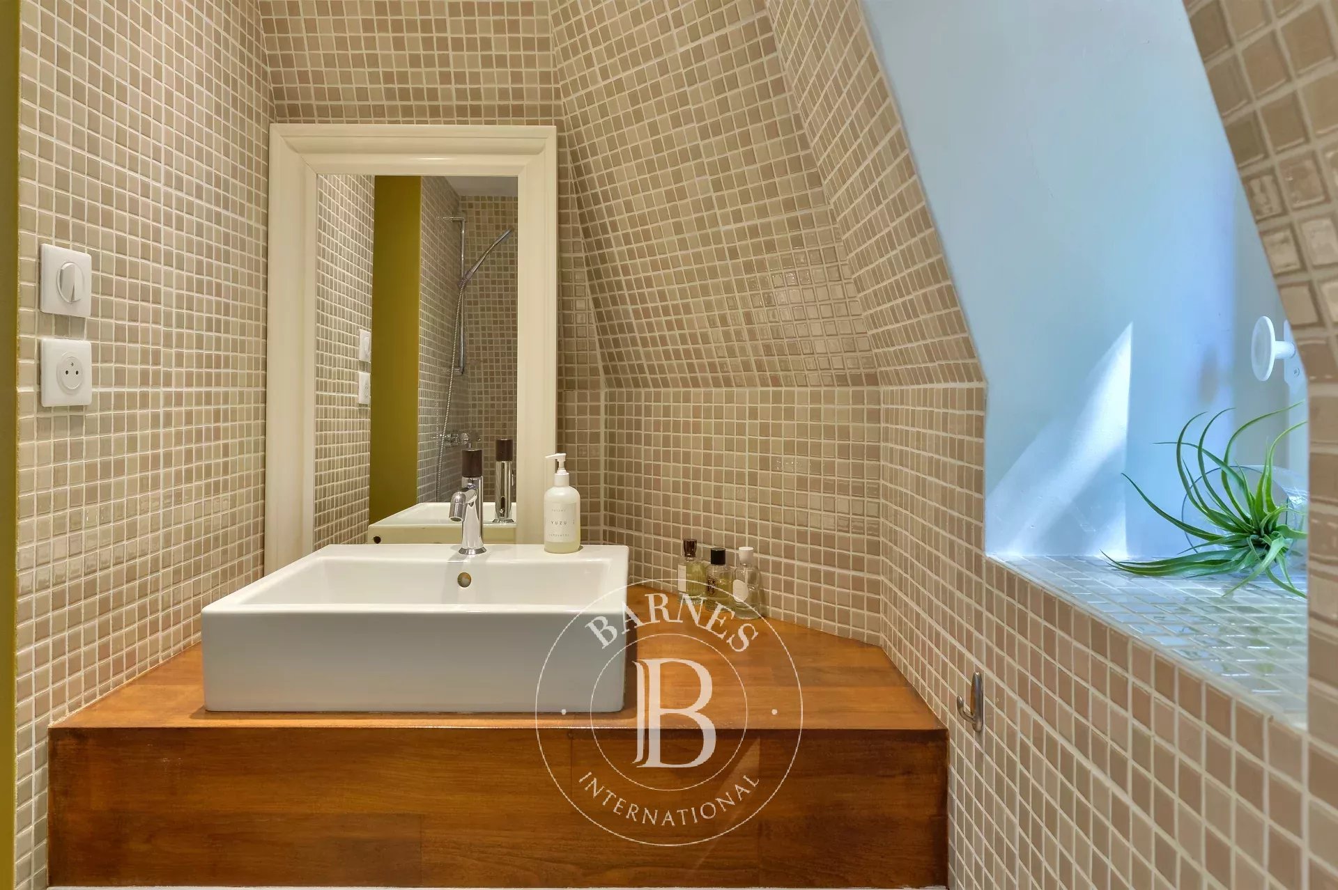 Daire Saint-Cyr-au-Mont-d'Or - picture 7