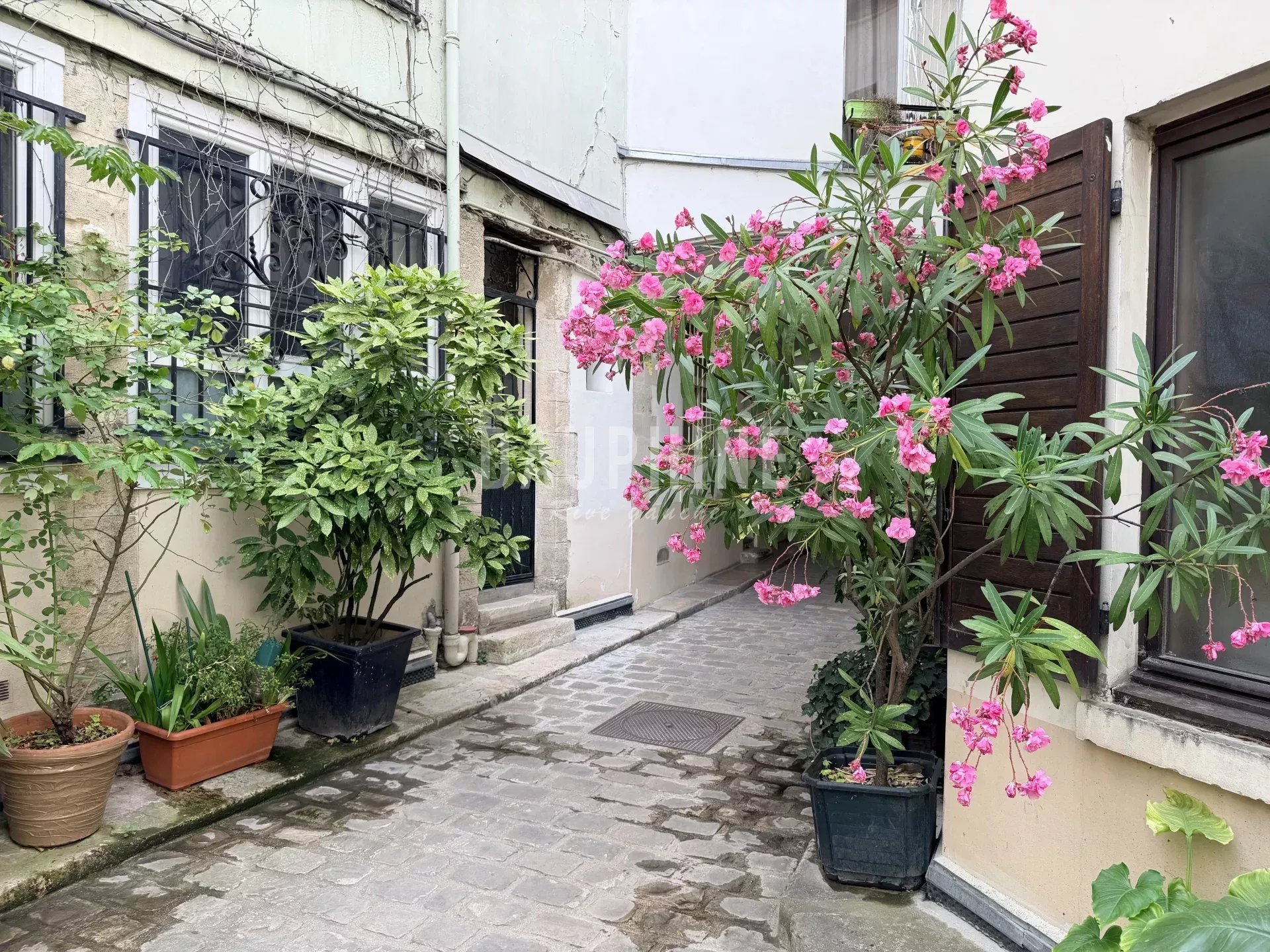 Agence immobilière de Agence Dauphine Rive Gauche 6ème Sud