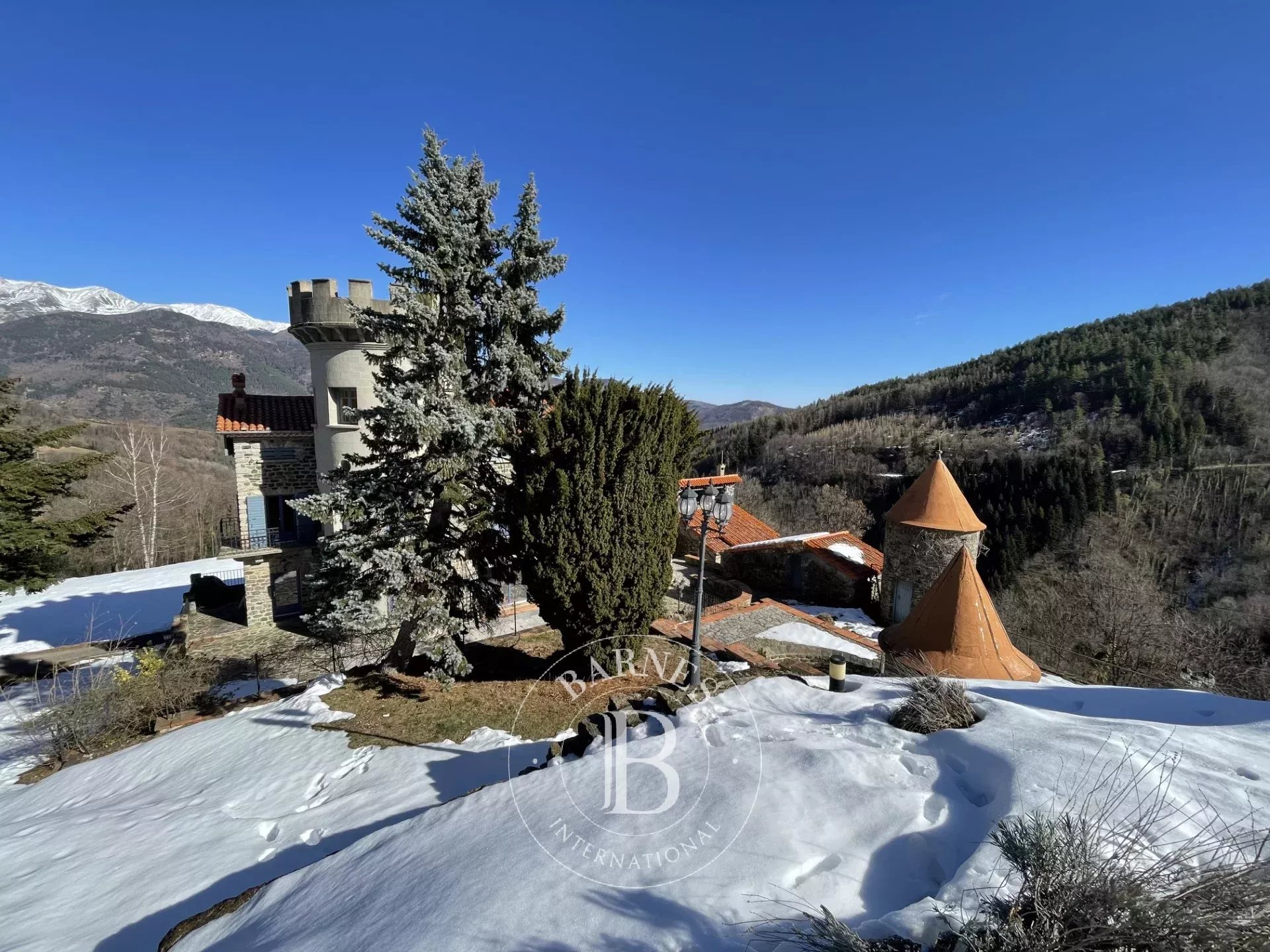 Mülkiyet Prats-de-Mollo-la-Preste