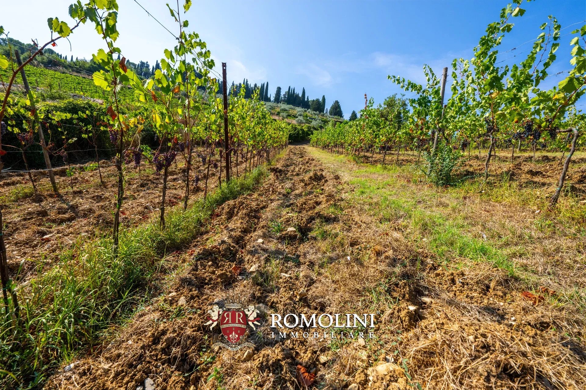3 Bedroom Vineyard's Image 21