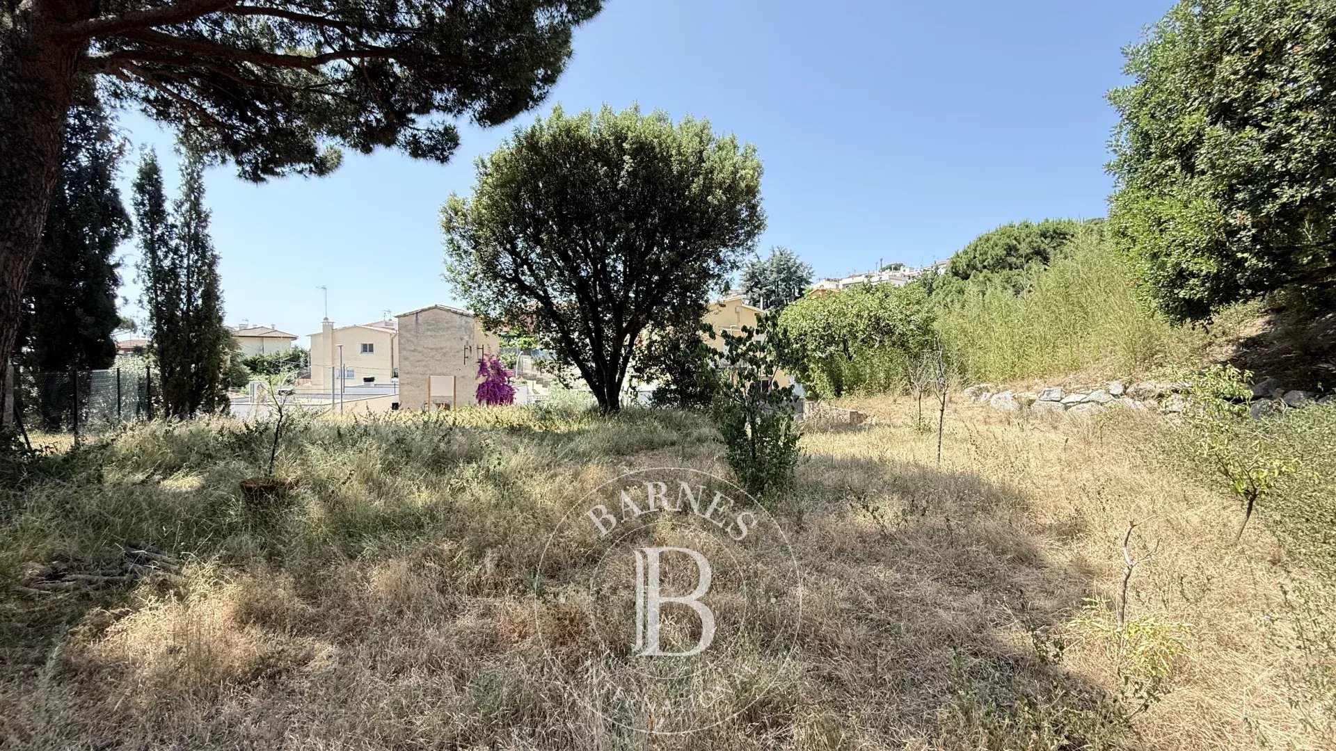 Arazi Premia de Dalt - picture 5