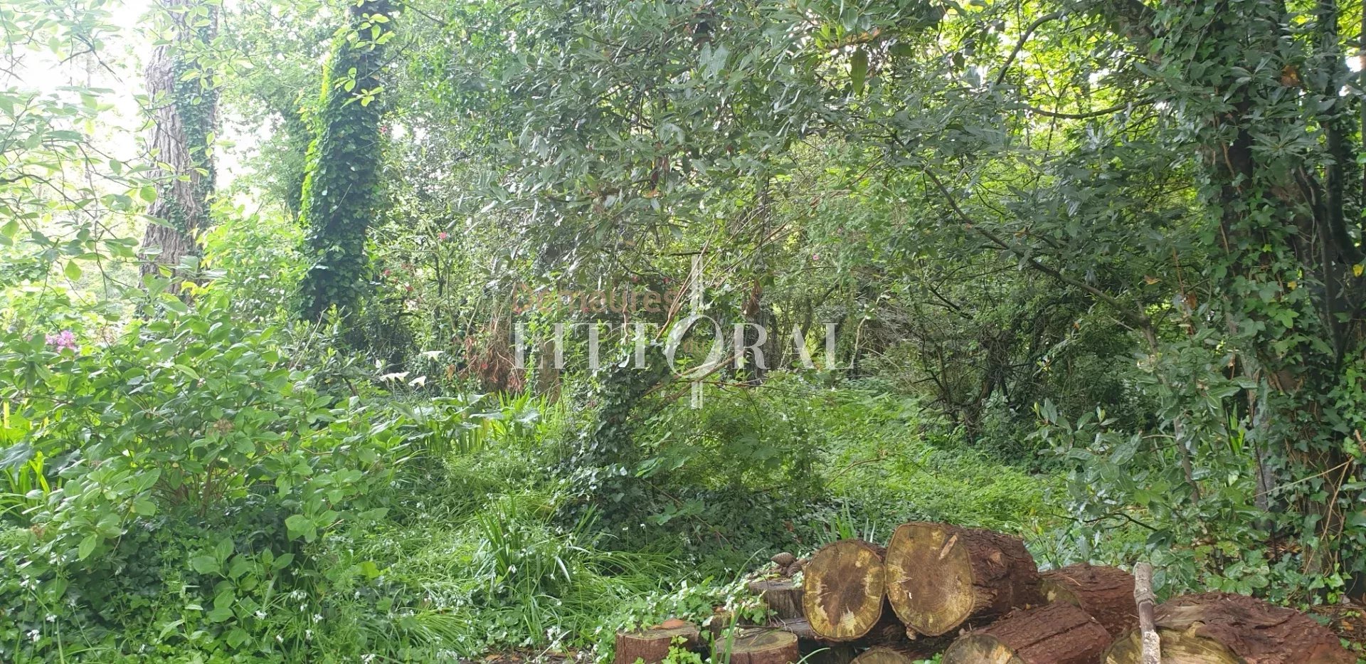 Vente Terrain constructible Plougonvelin