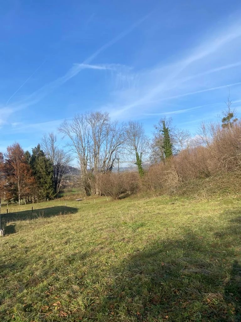Agence immobilière de BV Immobilier