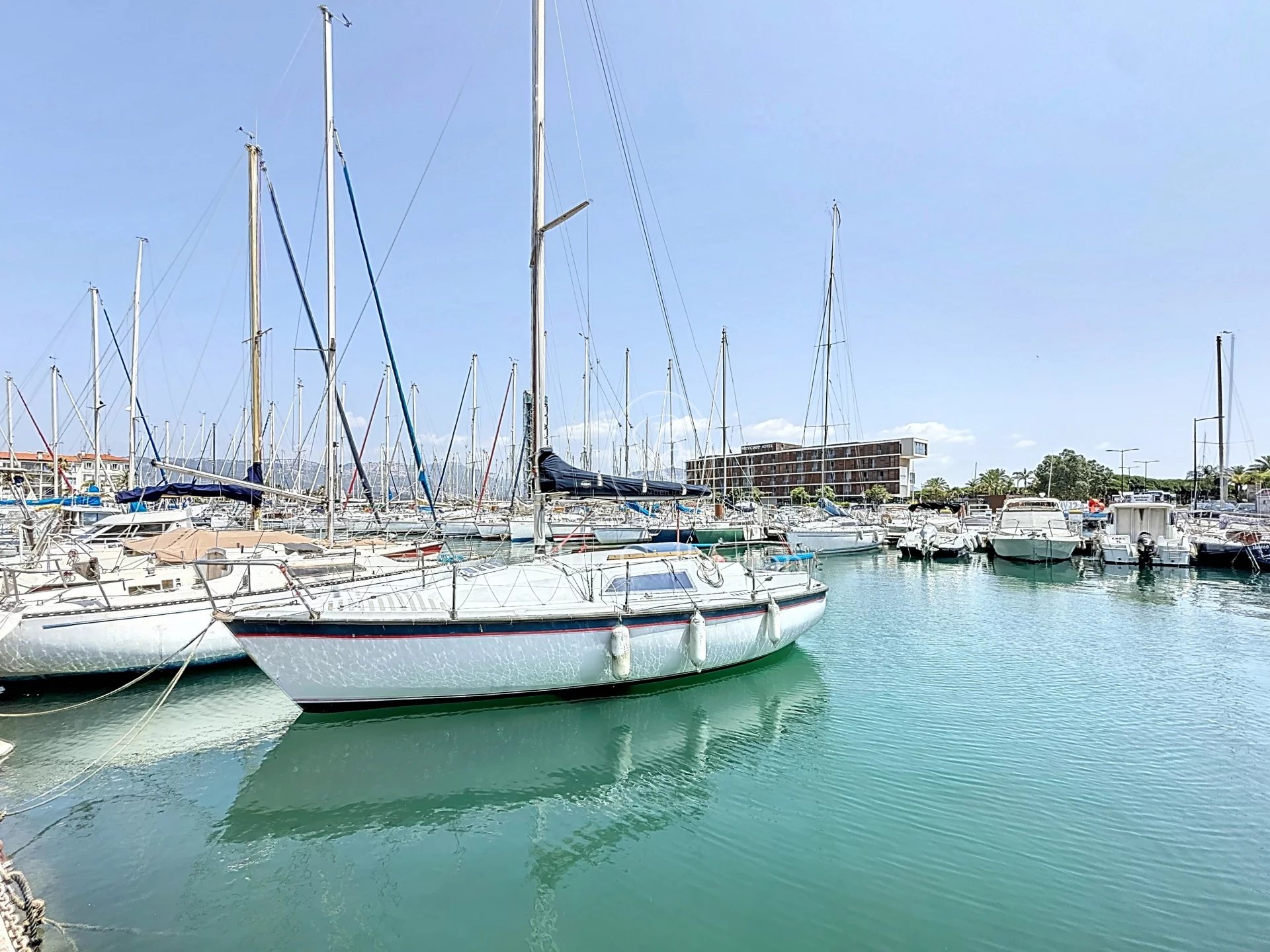 Agence immobilière de Sas Blue Collection Immobilier