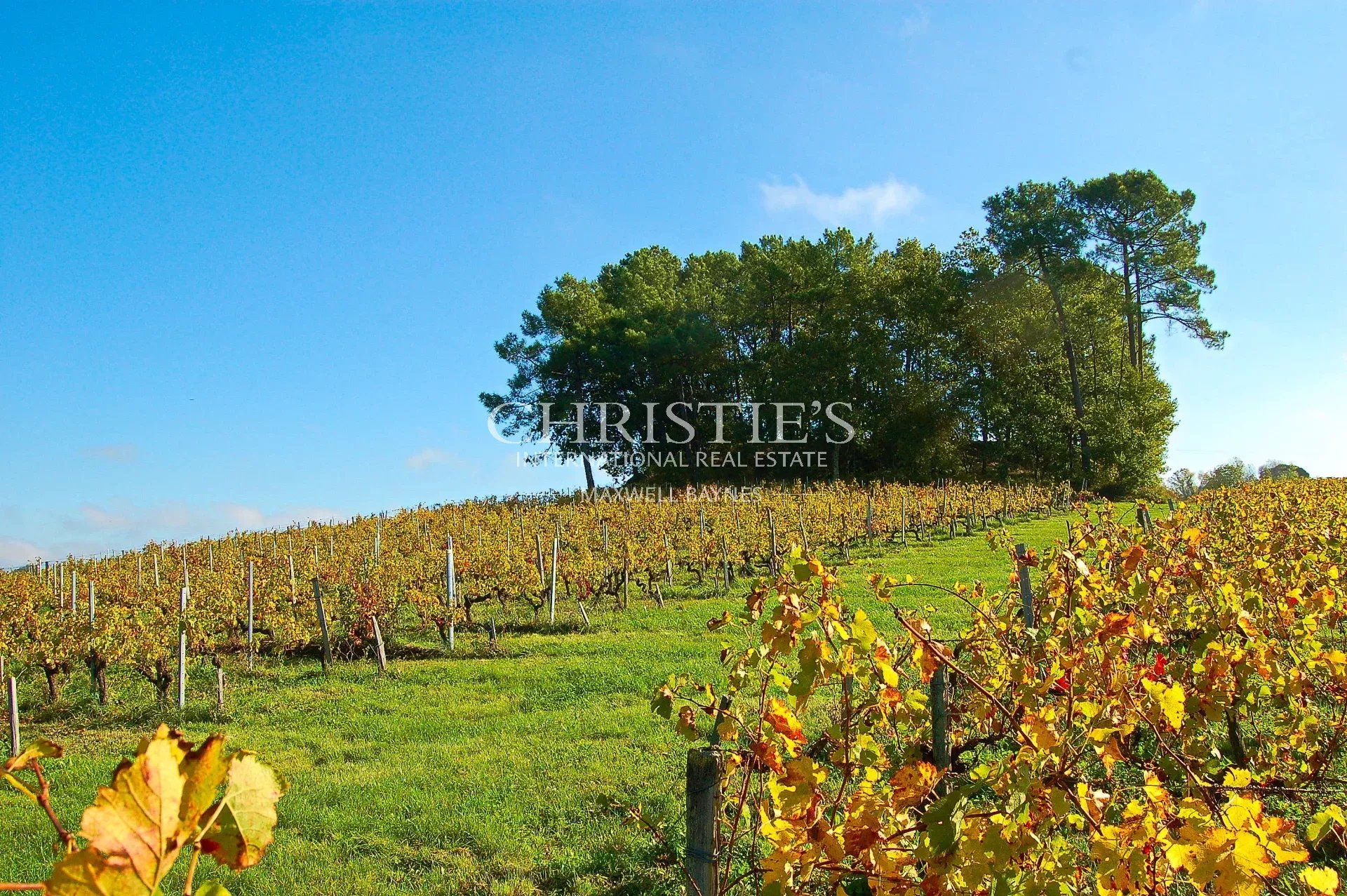 Property Slider Image
