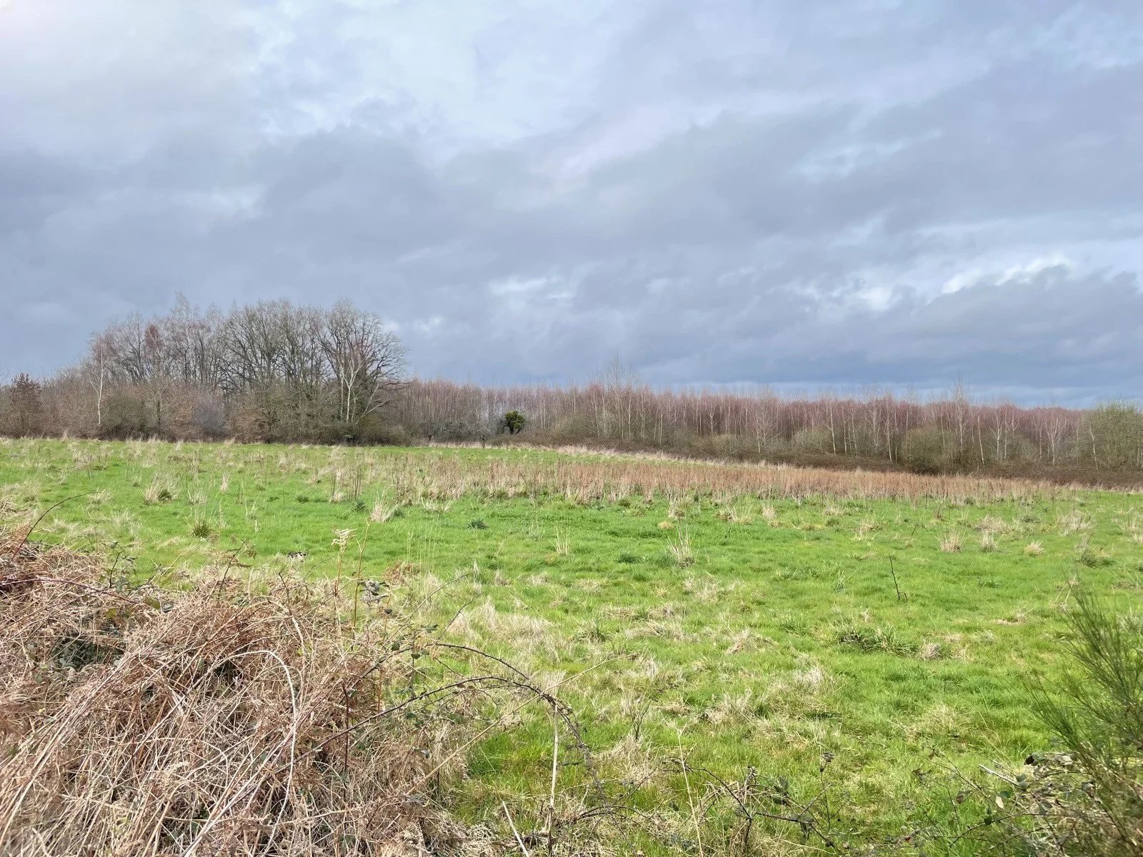 Verkoop Terrein Lesterps