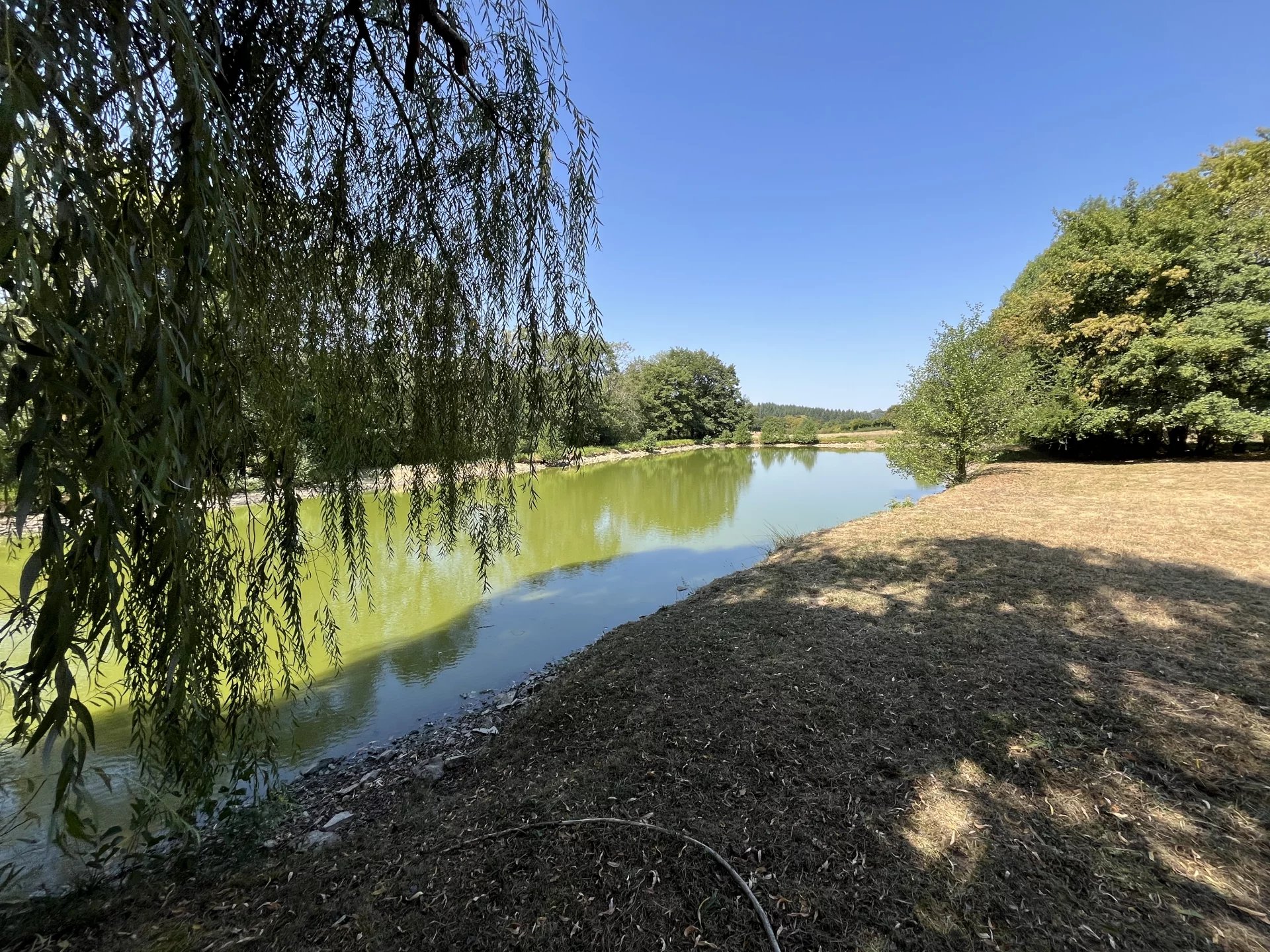 Domaine au coeur du Morvan — photo 20