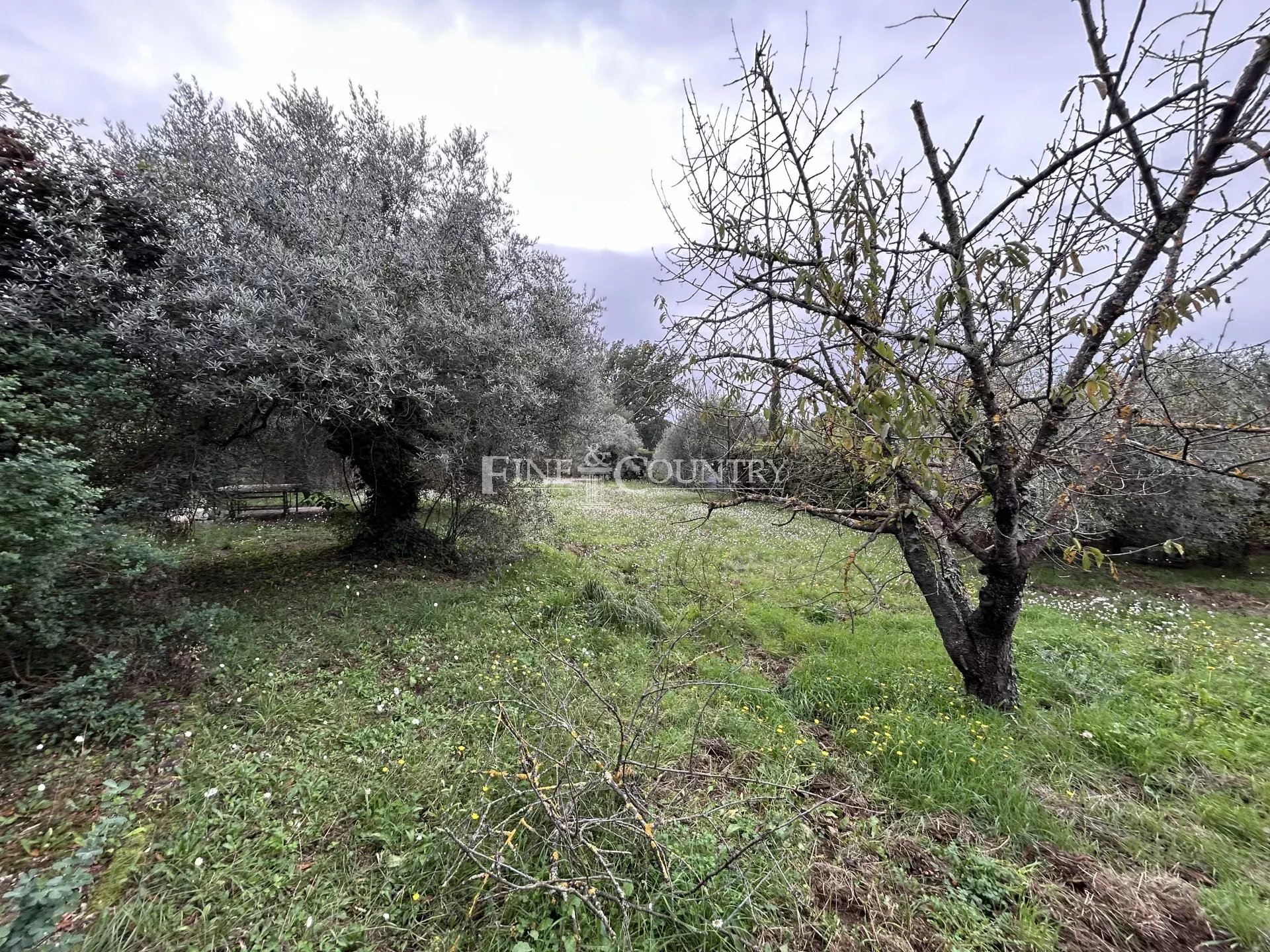 Photo of Building plot in Montauroux with planning permission cleared