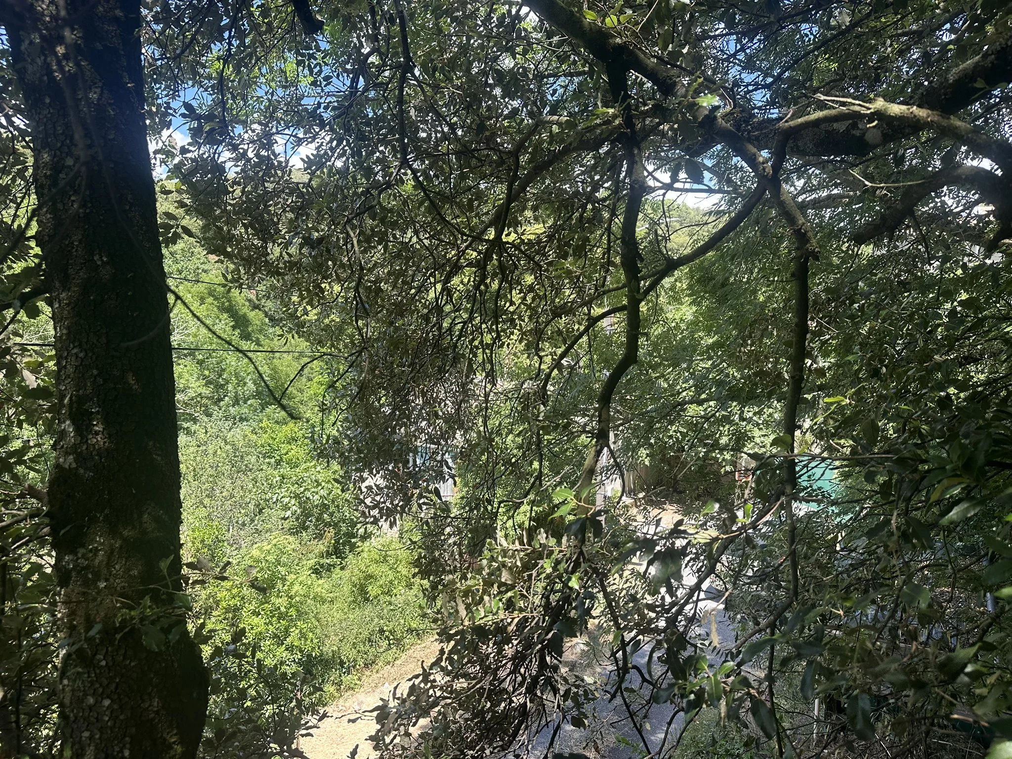 Fermette à vendre Brousses-et-Villaret, Aude