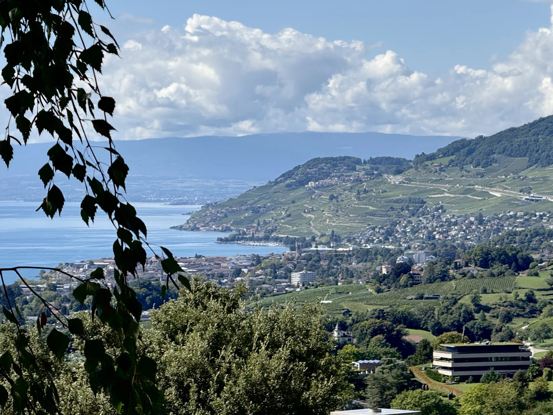 Sublime maison panoramique rénovée