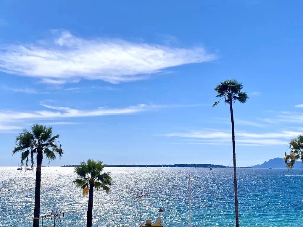 Sale Apartment Juan-les-Pins