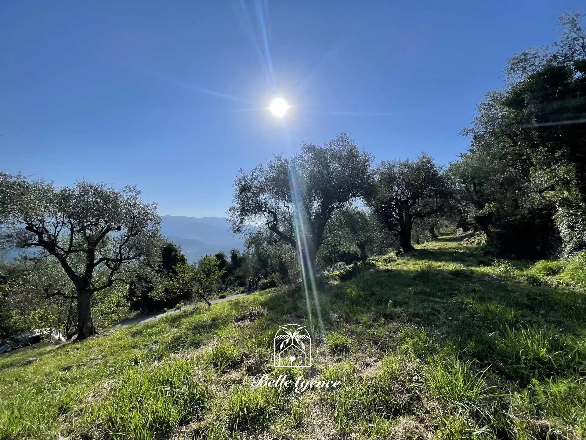 Agence immobilière de La belle agence