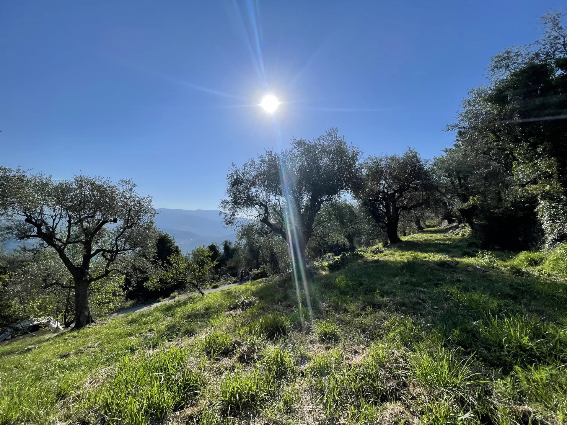 Agence immobilière de La belle agence