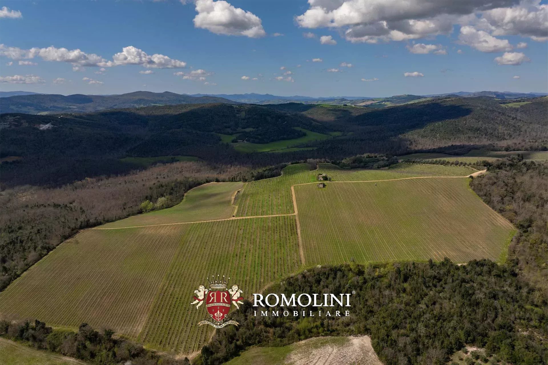 35 Bedroom Vineyard's Image 16