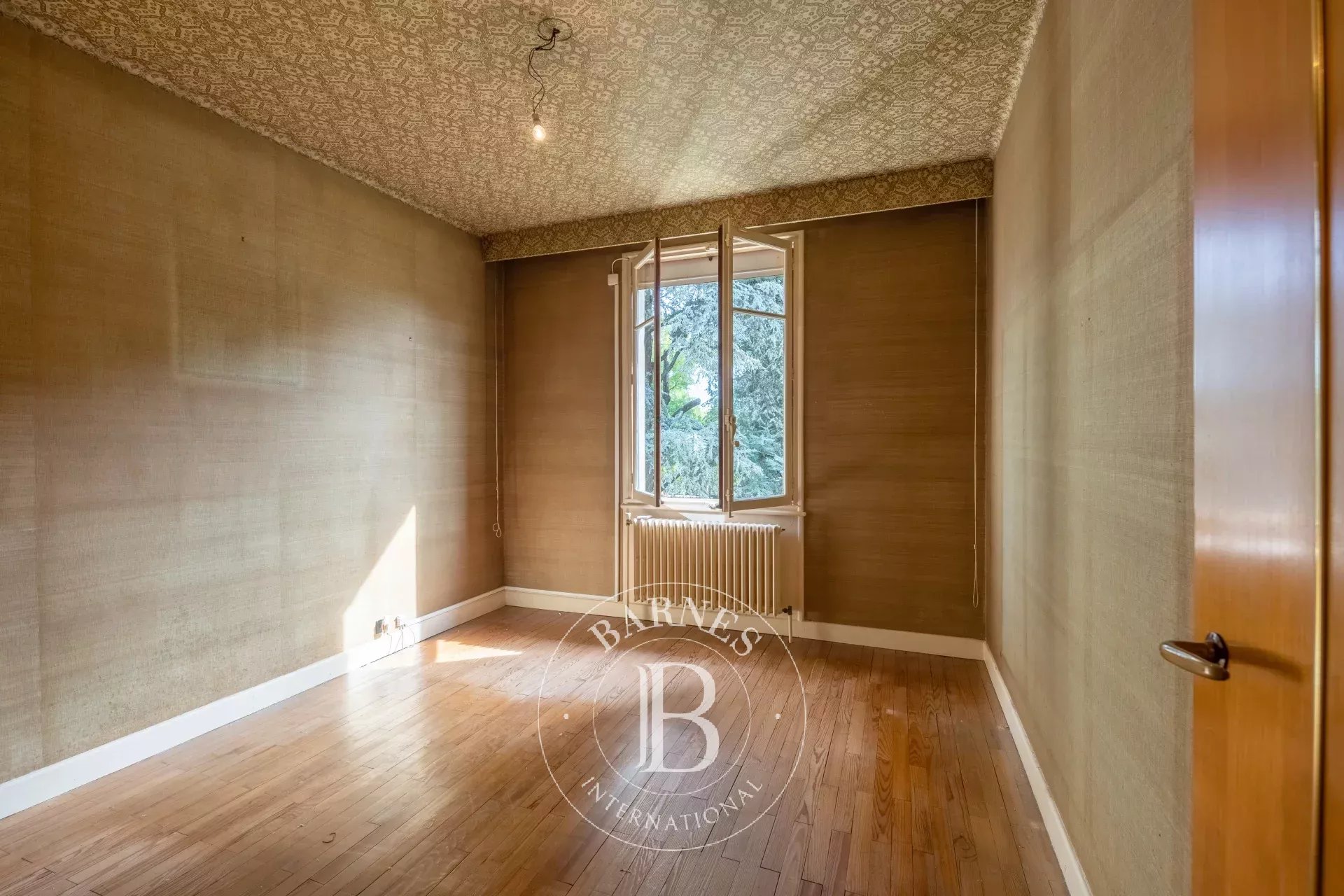 Ev Tassin-la-Demi-Lune - picture 7