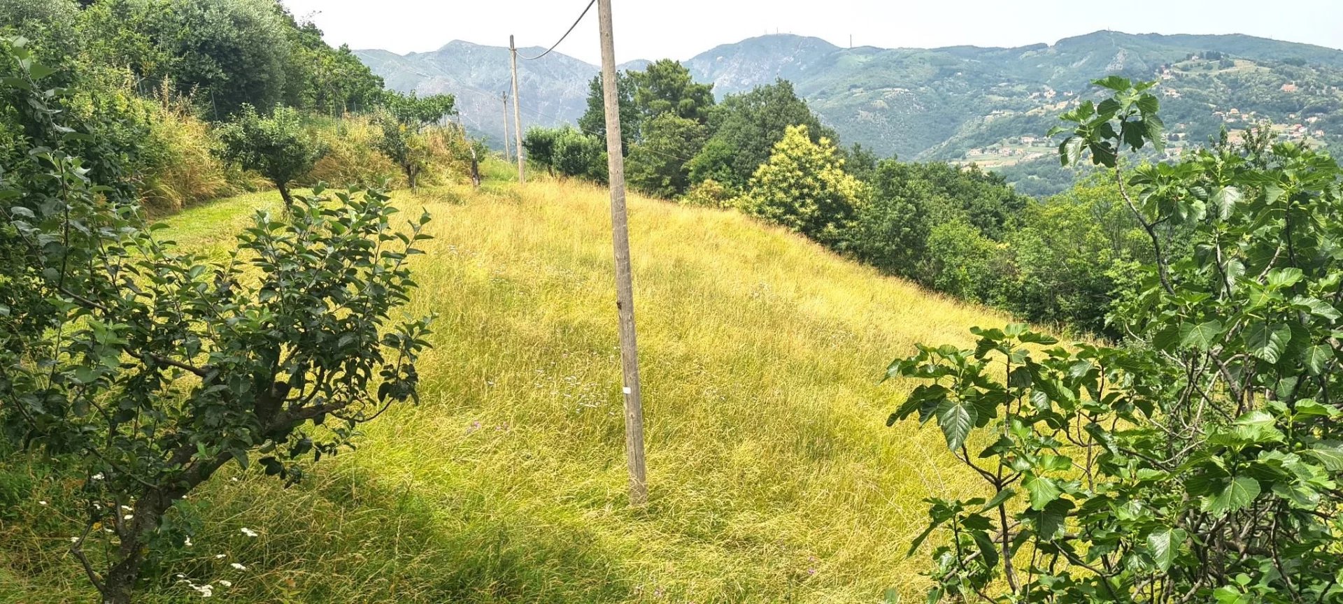 Agence immobilière de Royal House