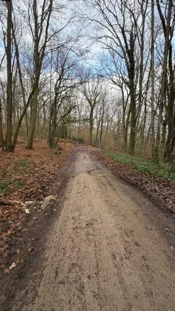 Agence immobilière de Agence l'Angelus de Barbizon
