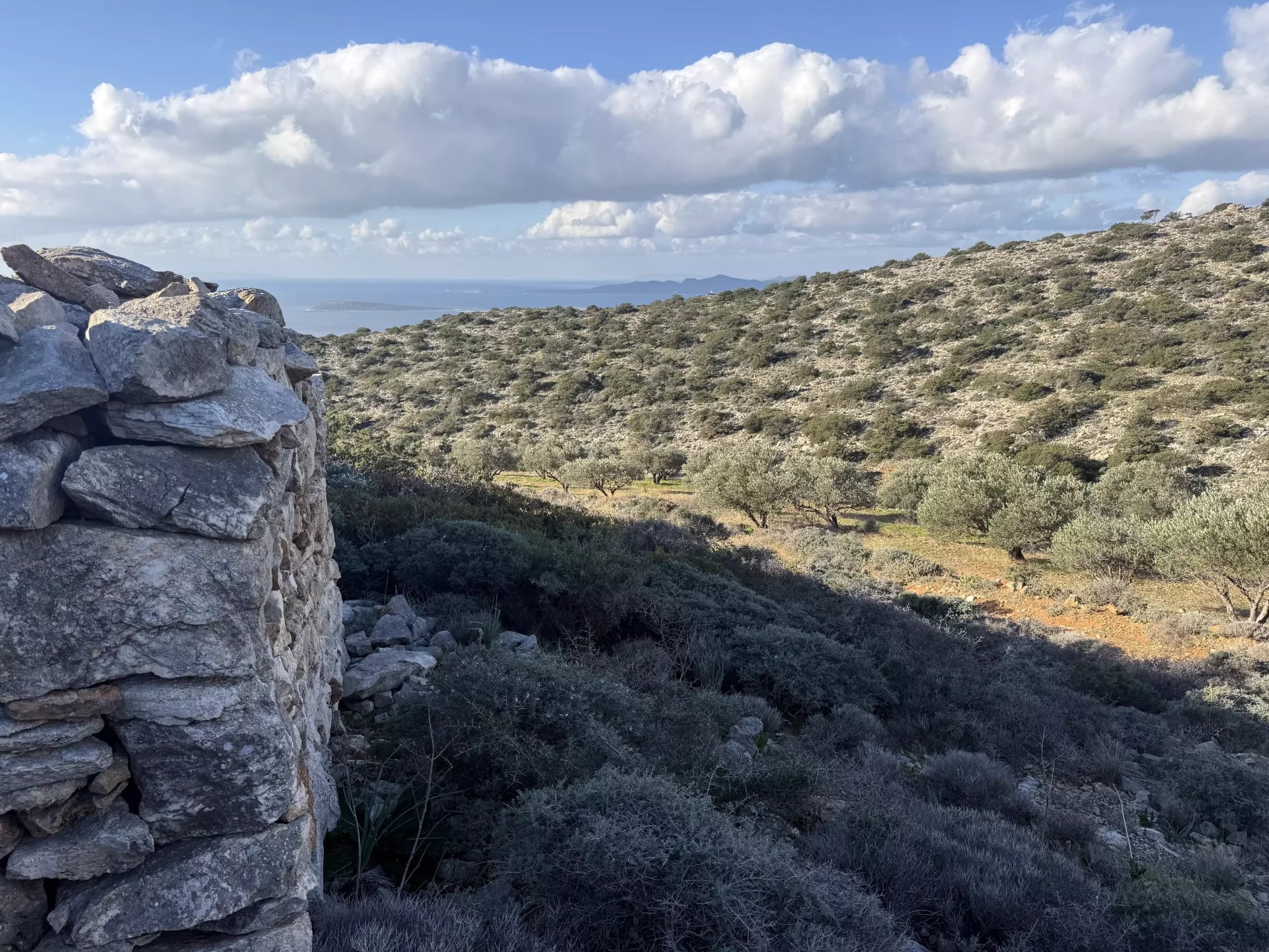 Εικόνα ιδιοκτησίας 13