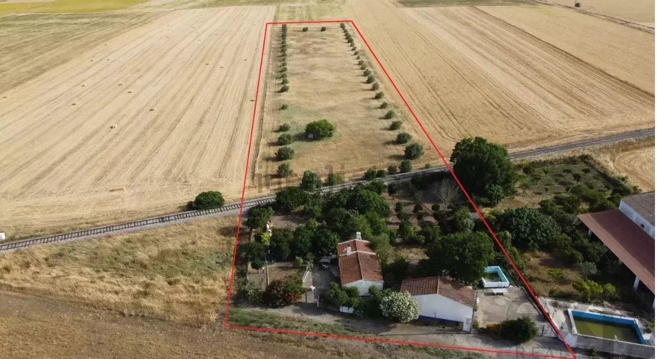 House with Wooded Land Near Beja - An Invitation to Serenity in the Heart of the Alentejo