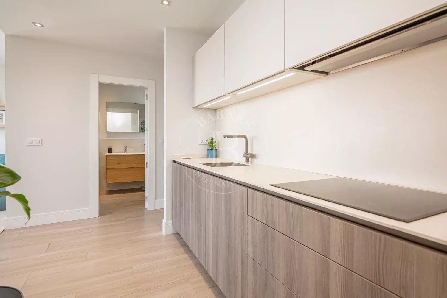 Daire Madrid - picture 9