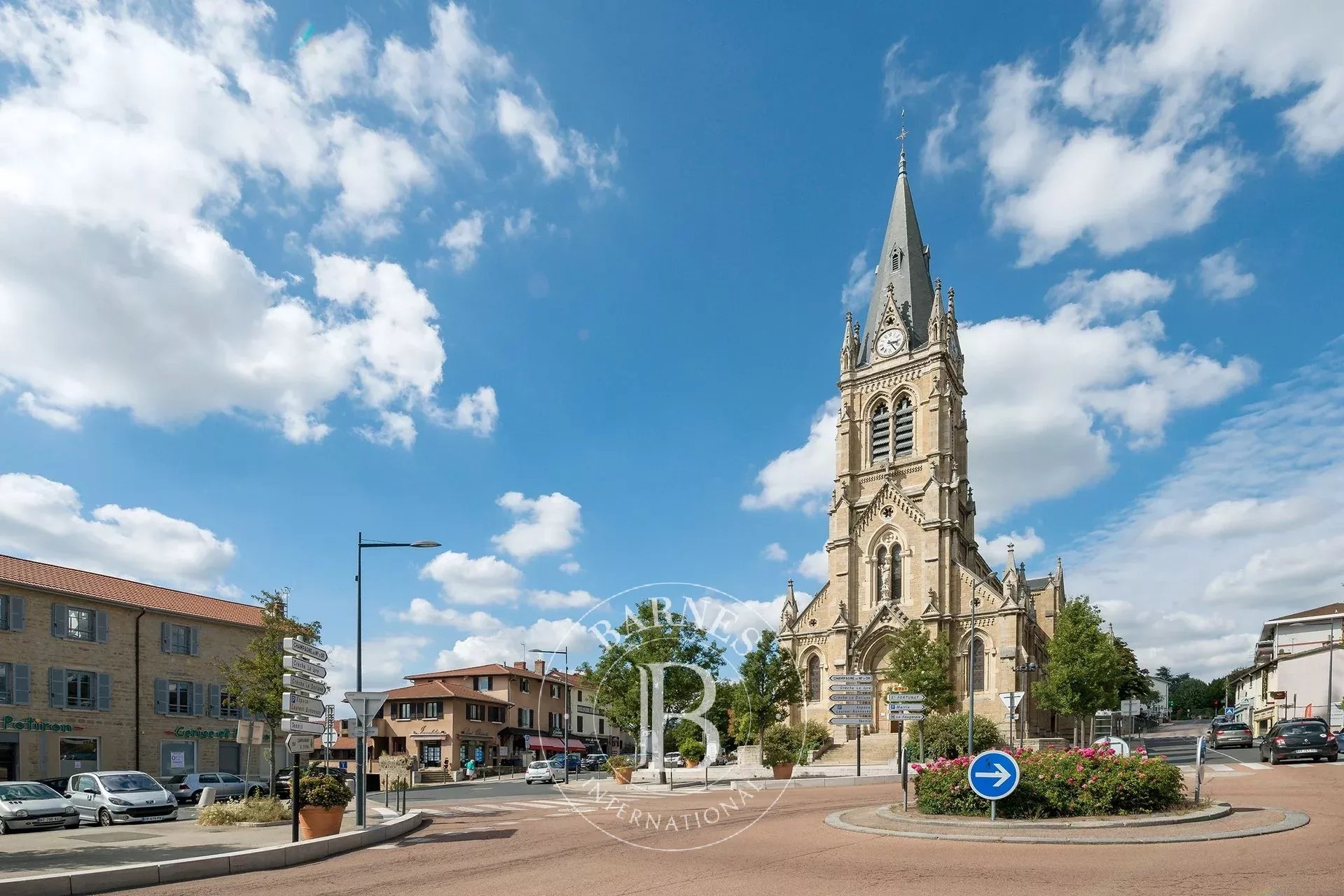 Arazi Saint-Didier-au-Mont-d'Or