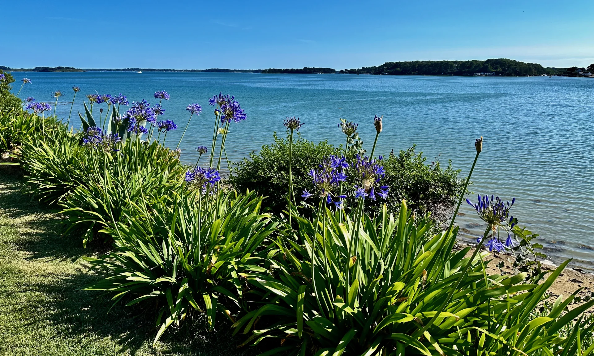 Baden - MORBIHAN