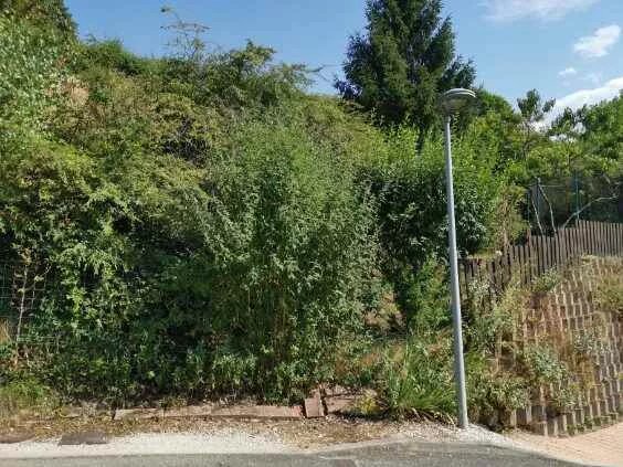 Terrain avec permis de construire - Photo 4