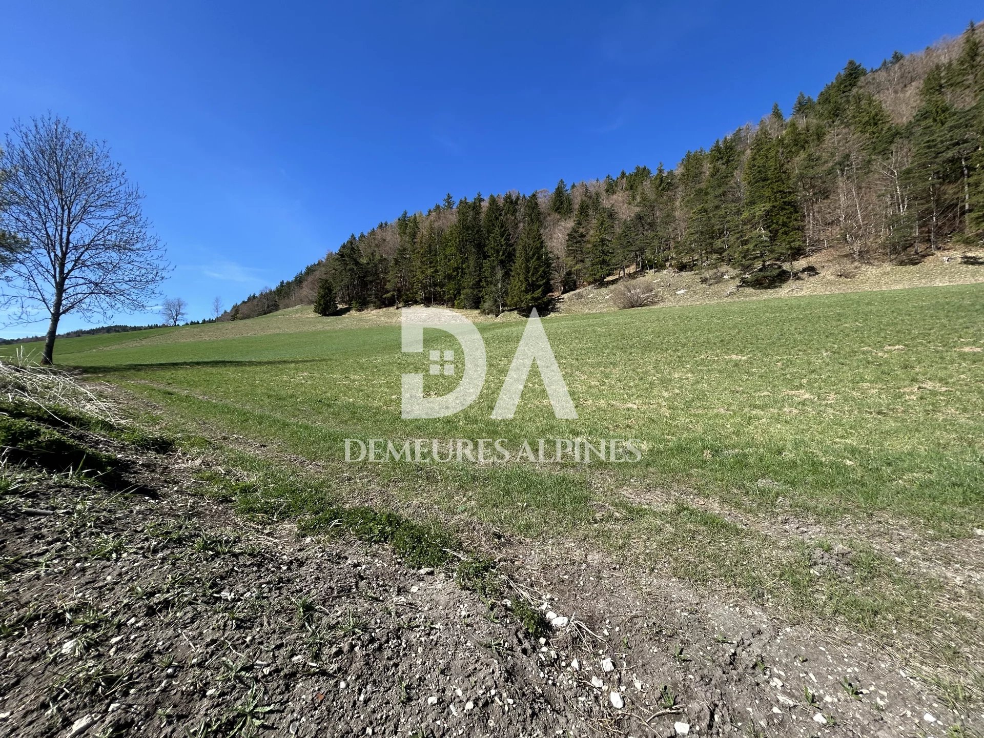 Terrain constructible 488 m² à Villard-de-Lans - Photo 4