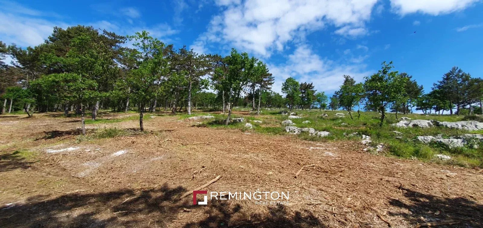 Land/Vacant Land's Image 11