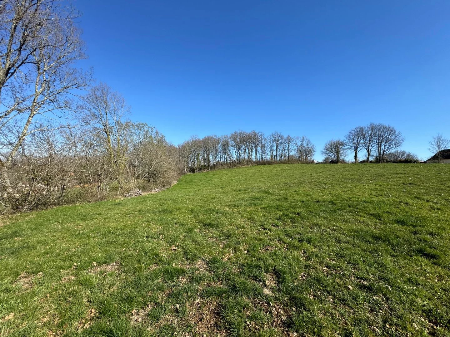 Agence immobilière de Charles Loftie Immobilier