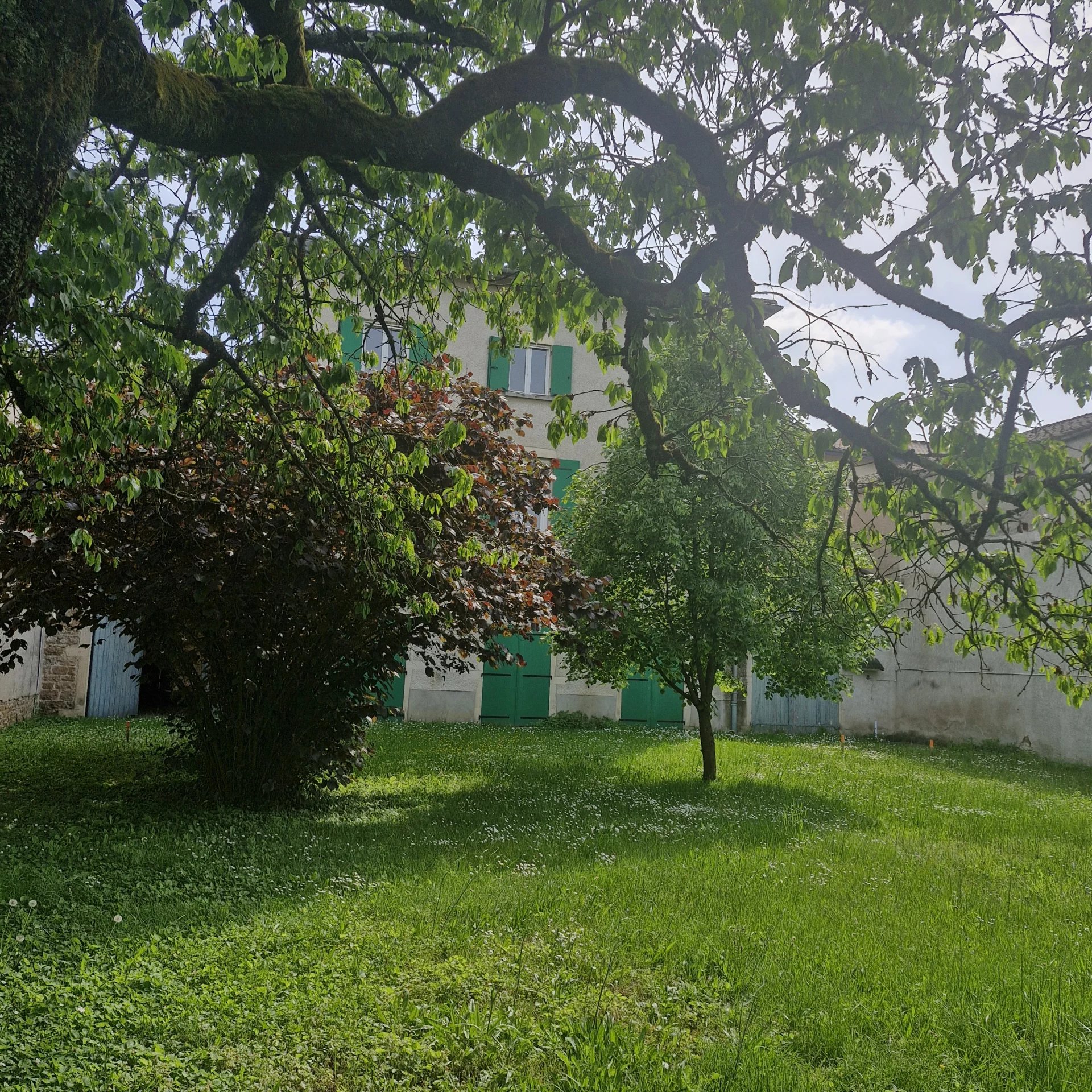 Grand  appartement, avec atelier et jardin