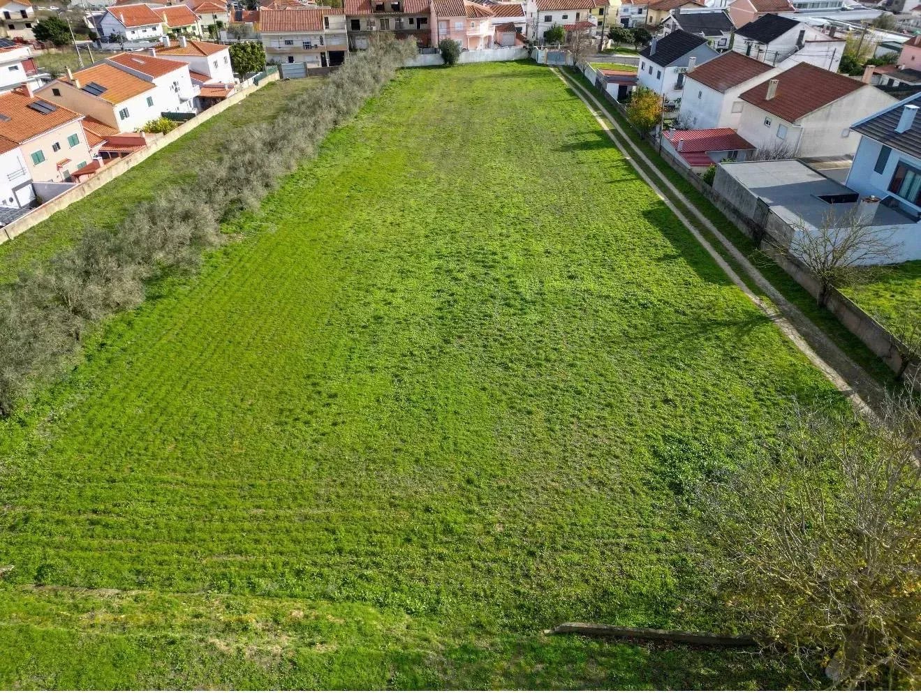 Urban Land with 11,000 m² 86644012 image 10