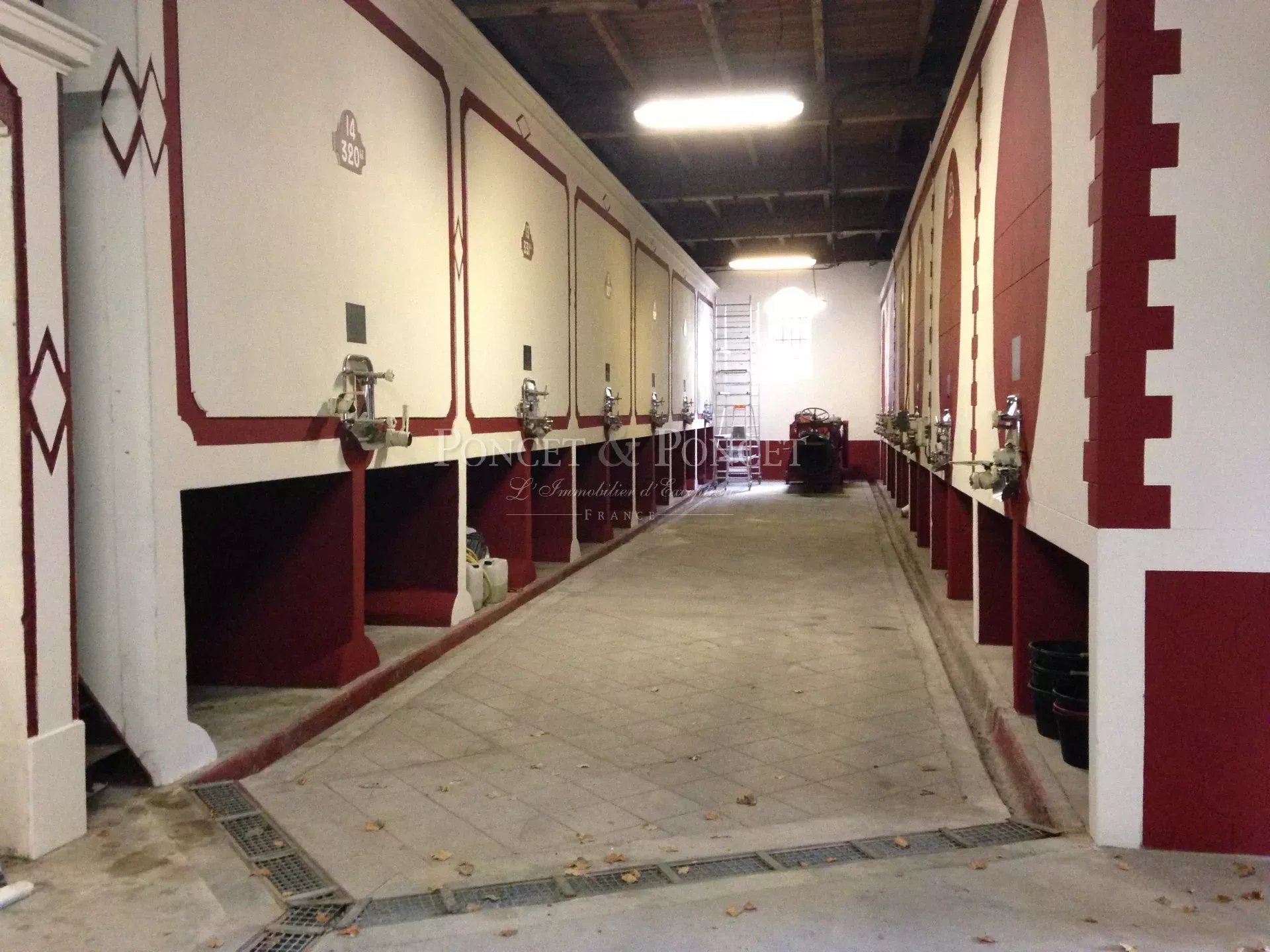 10 Bedroom Vineyard's Image 6