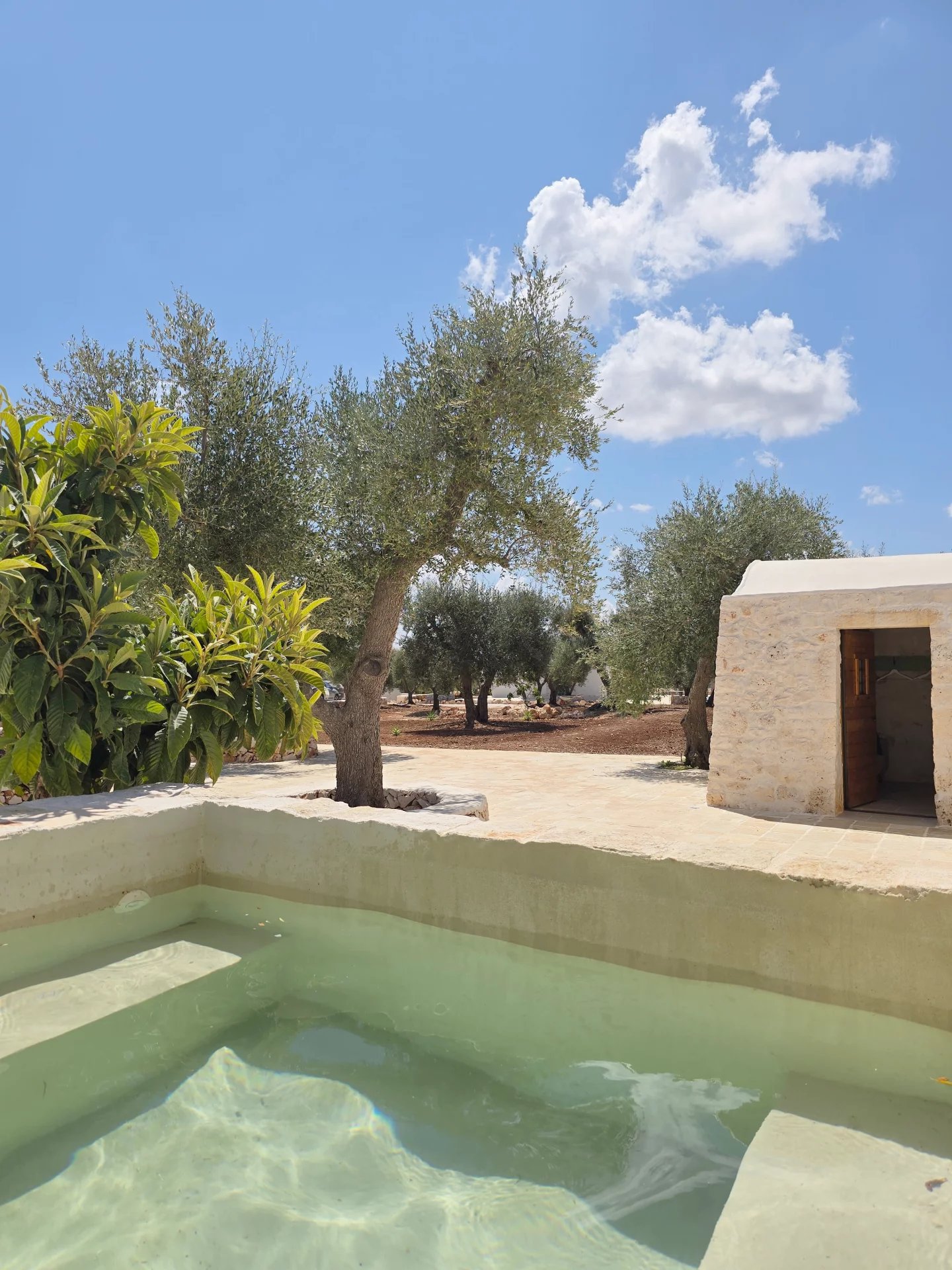 Sale Property Ostuni