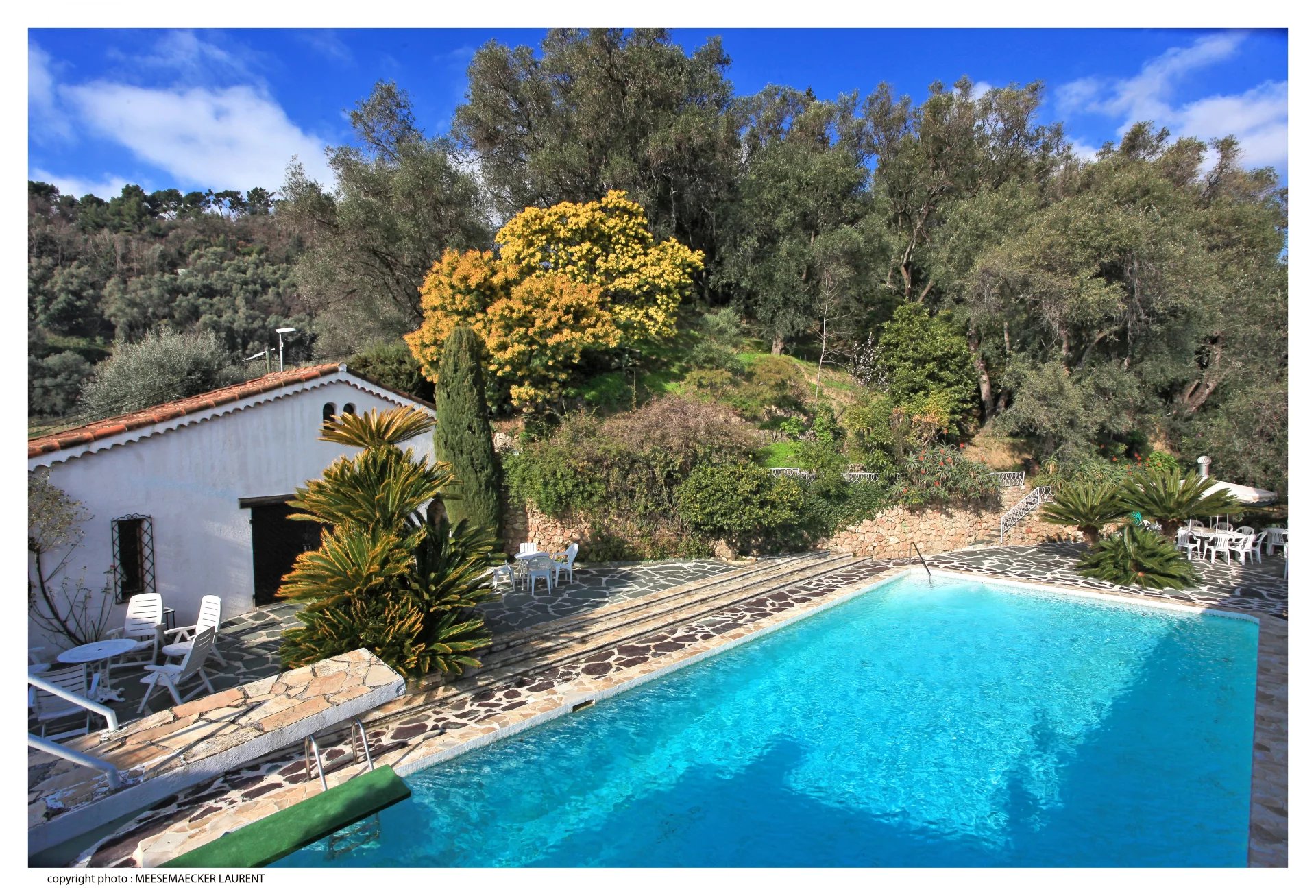 Citronneraie - Jardin d'exception