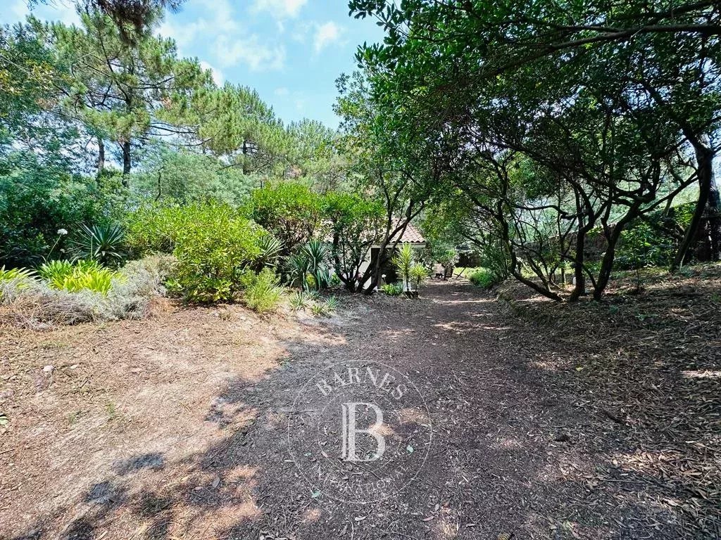 Villa Cap-Ferret - picture 4