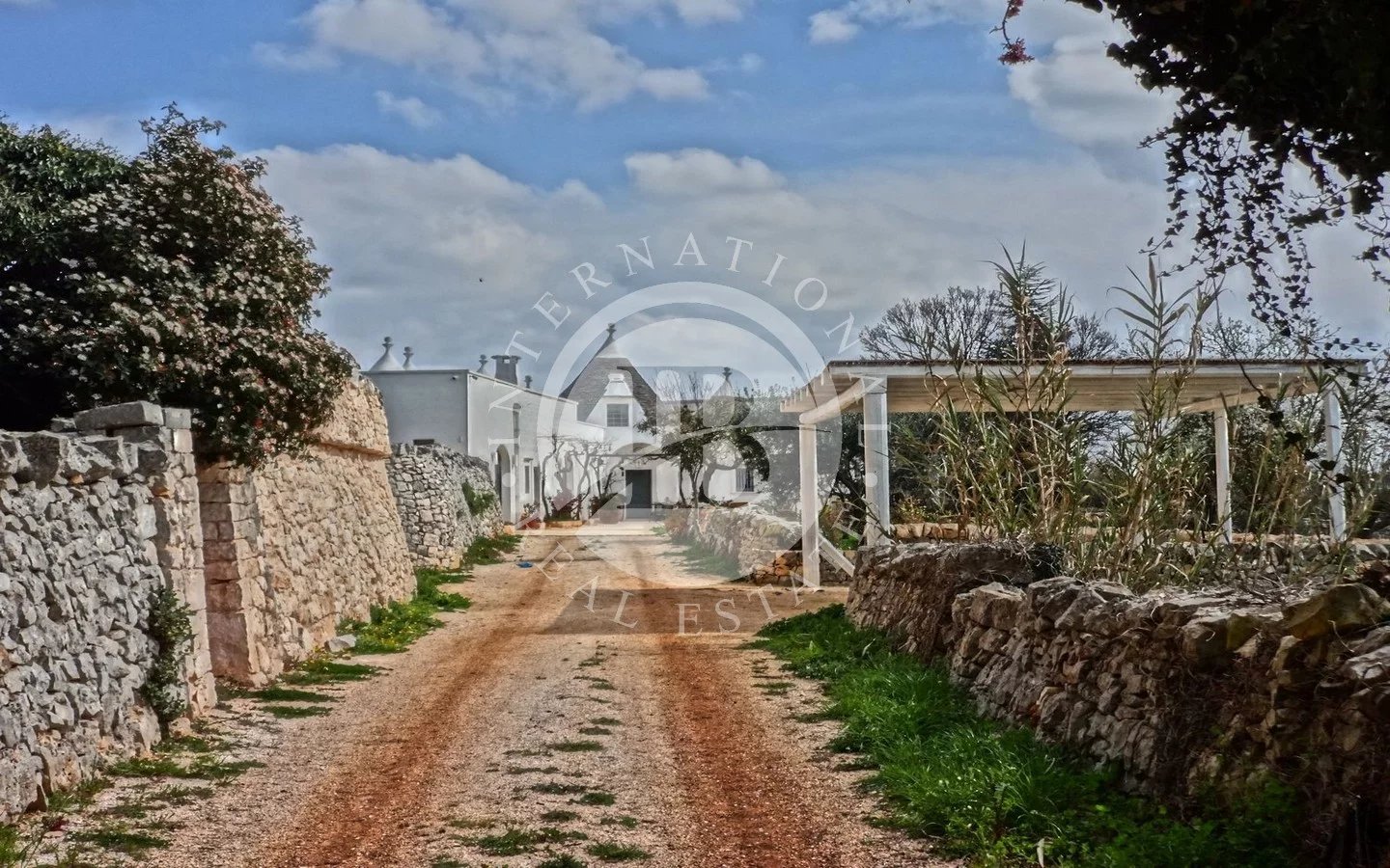 Villa in Locorotondo - Image 4