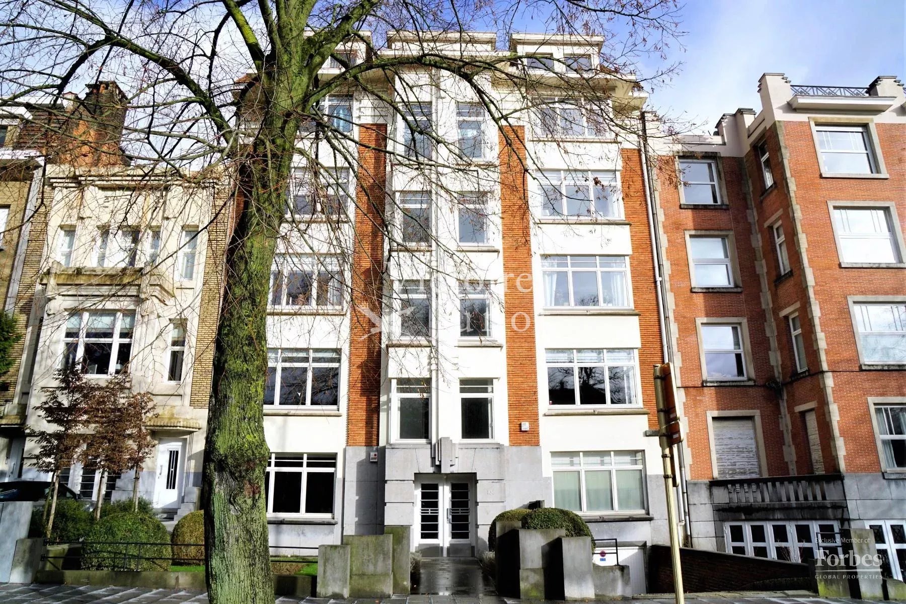 realisatie 86519980