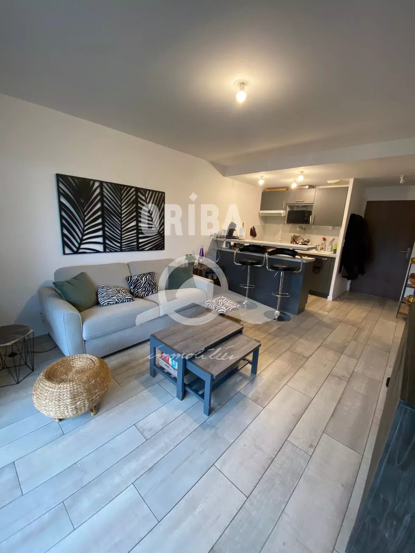 Appartement récent à Bourg Saint-Marc-sur-Mer
