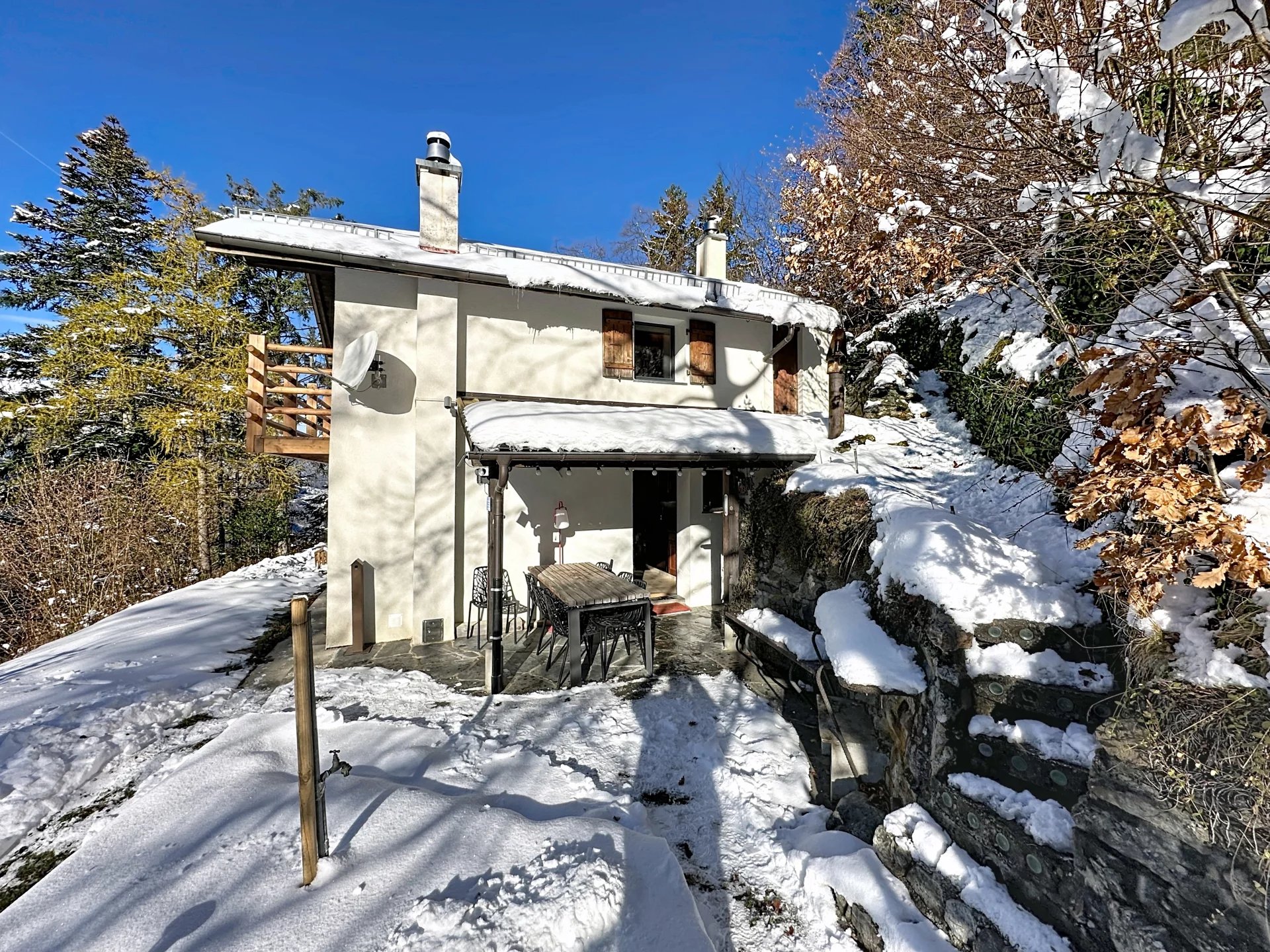 Vue panoramique sur le Mont-Blanc et la Cime de l'Est