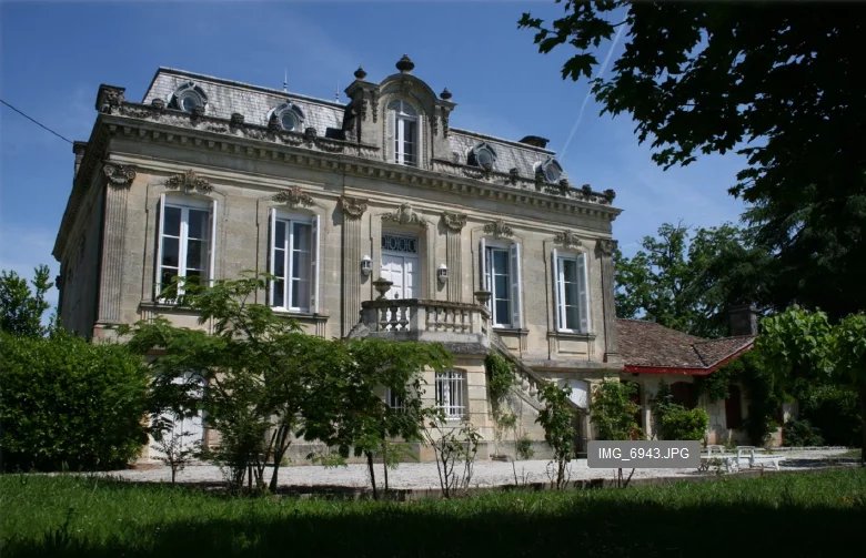 Château avec petit vignoble
